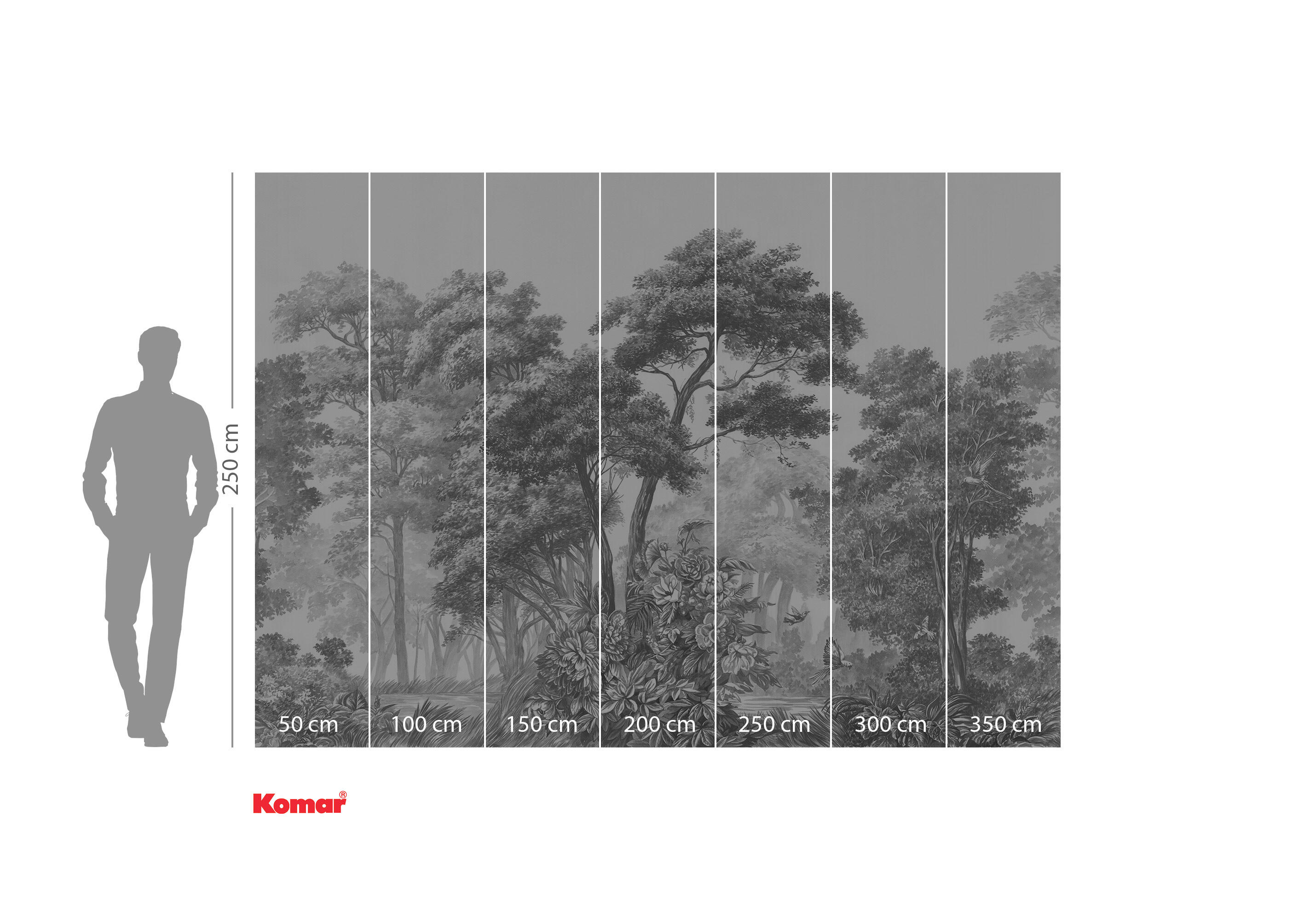 Papier peint panoramique Forêt Voyageur blanc l.350 x H.250 cm - 3