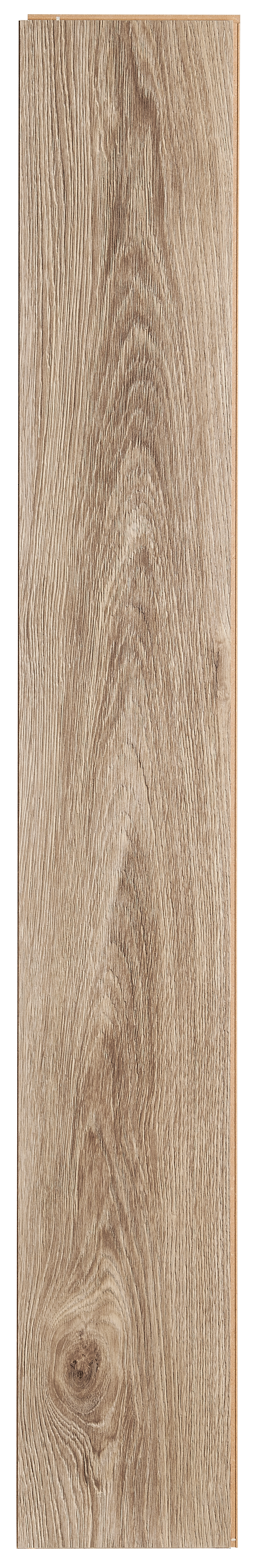 Panele podłogowe laminowane Swiss Krono Dąb Hektor AC5 8 mm - 5