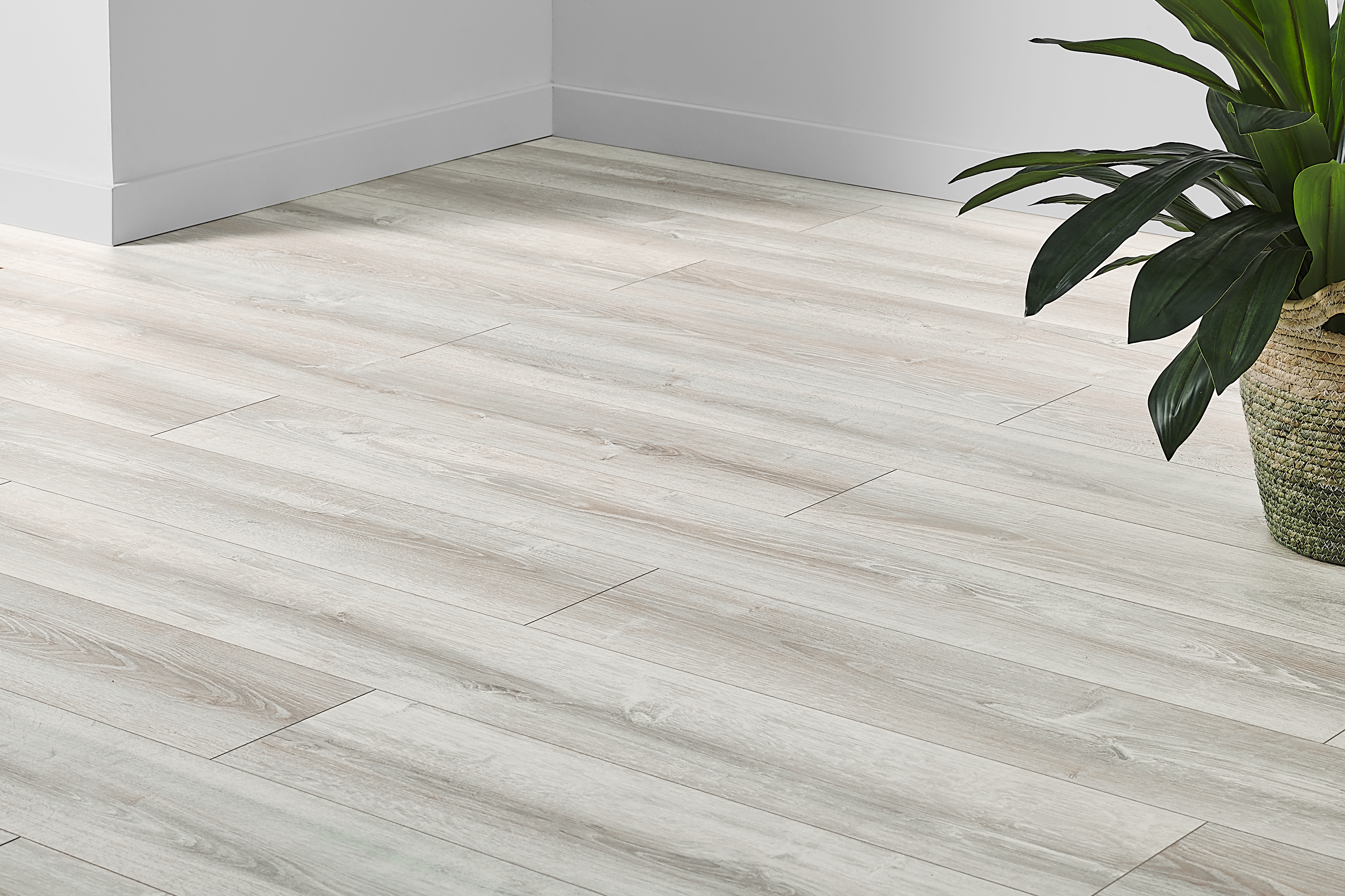 Panele podłogowe laminowane AC5 8 mm Promo Flooring Dąb Costa - 2