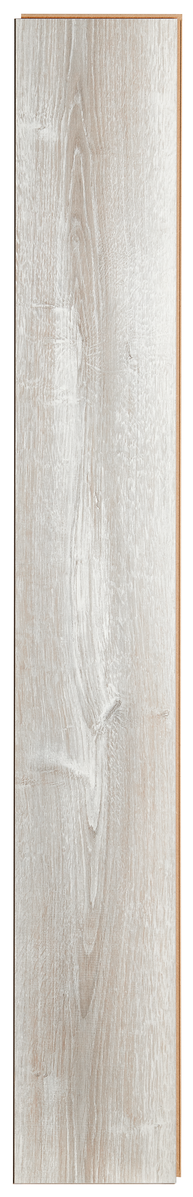 Panele podłogowe laminowane AC5 8 mm Promo Flooring Dąb Costa - 4