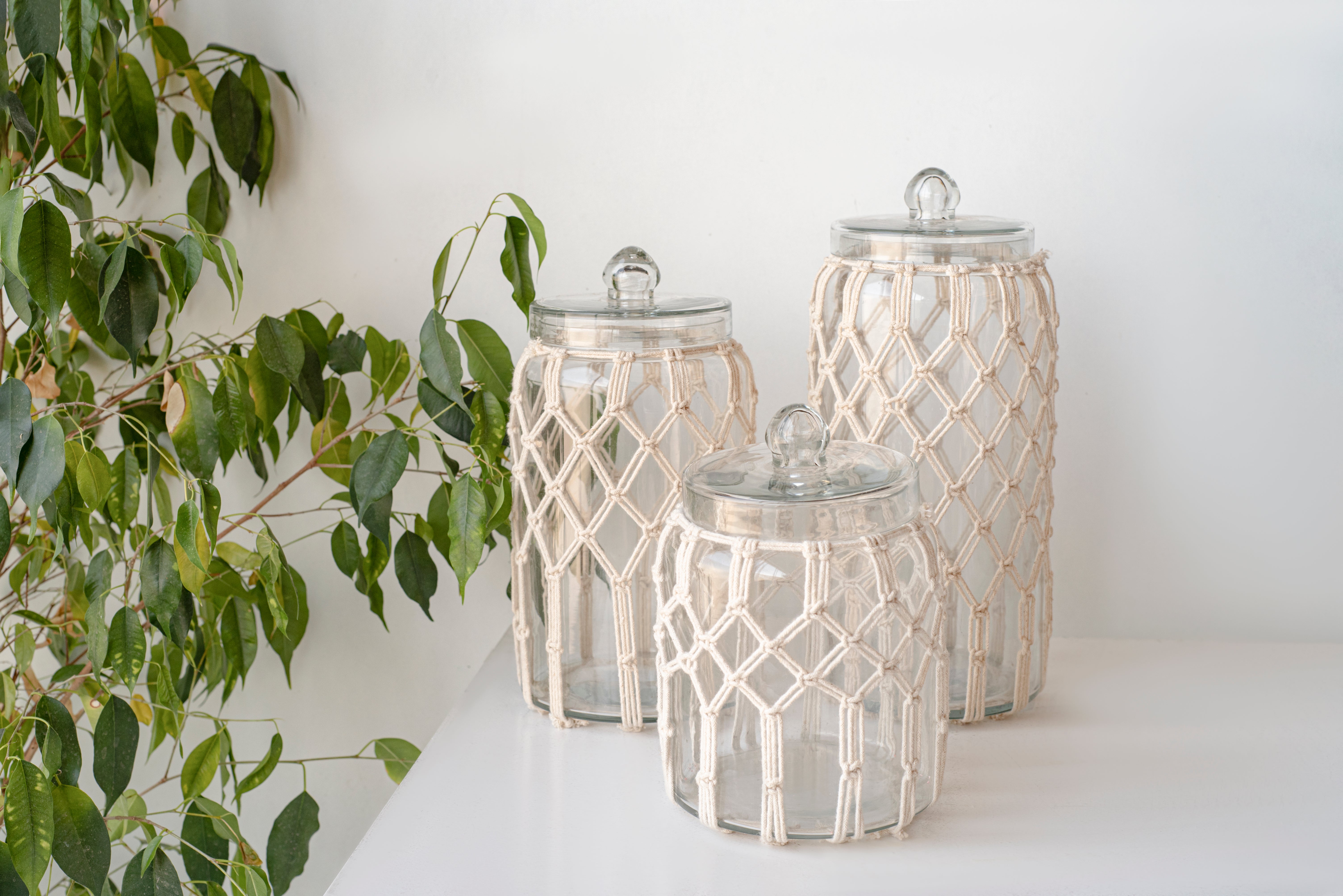 Bote de cristal algodonero beige 20 cm - 3