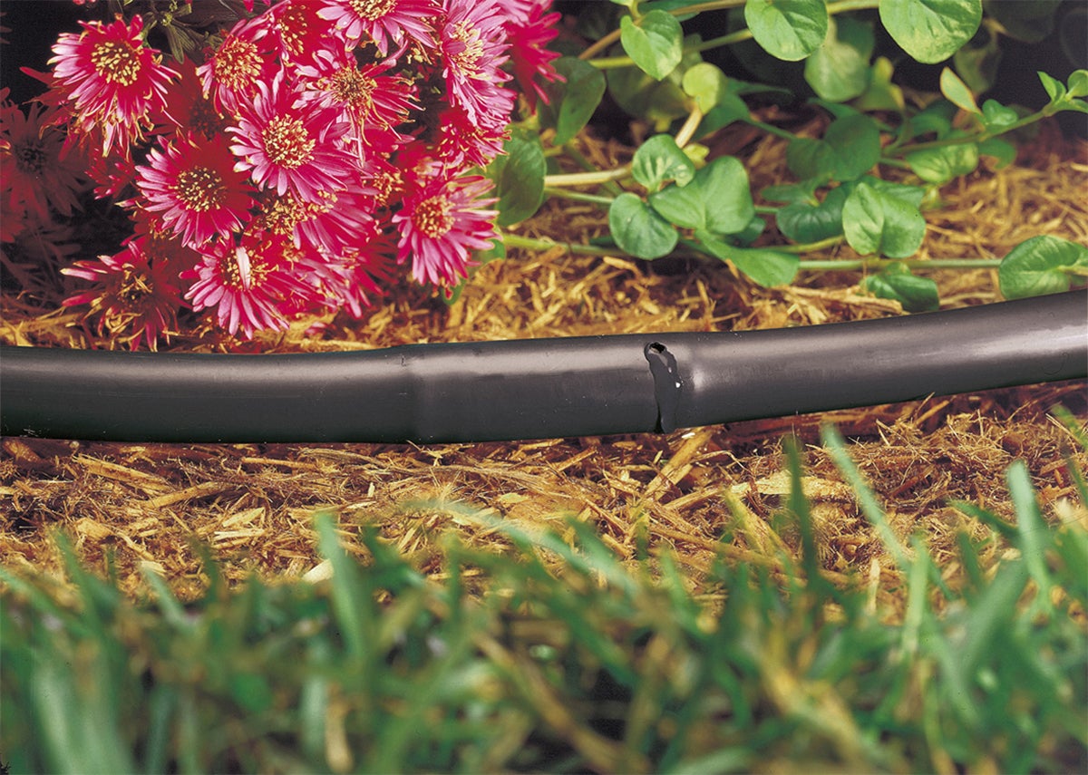 Tuyau avec goutteurs intégrés GEOLIA Tgi1650 L.50 m Diam.16 mm - 2