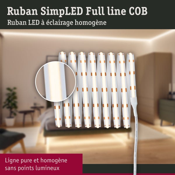 Kit ruban LED connecté bluetooth 10m blanc chaud 550 lumens Maxled PAULMANN