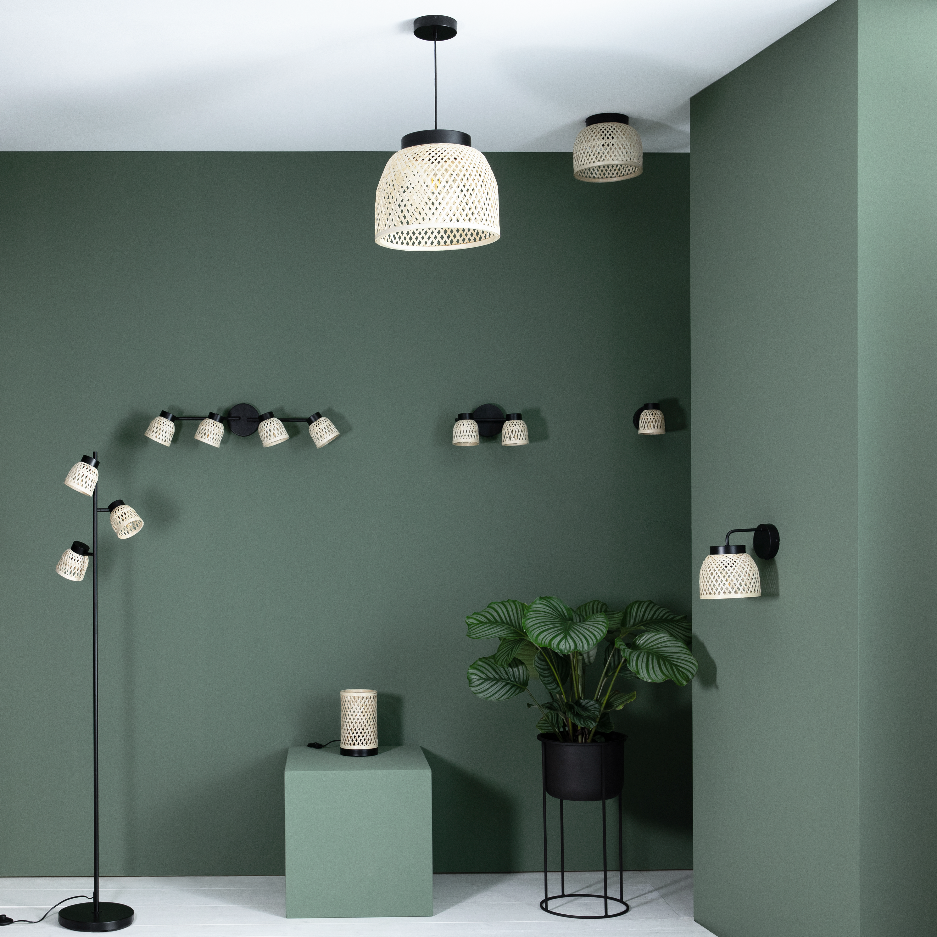 Candeeiro de teto INSPIRE NINON E14 2 LUZES D10.5CM PRETO - 5