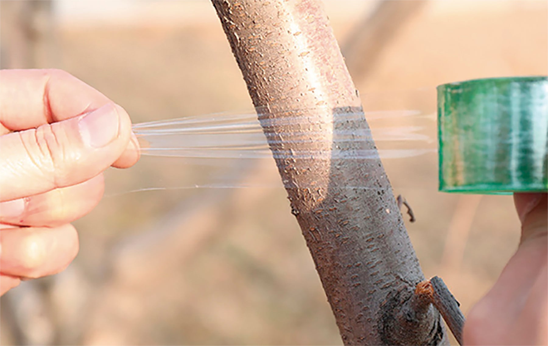 Cinta para injertar plantas de pvc 10 mm - 2