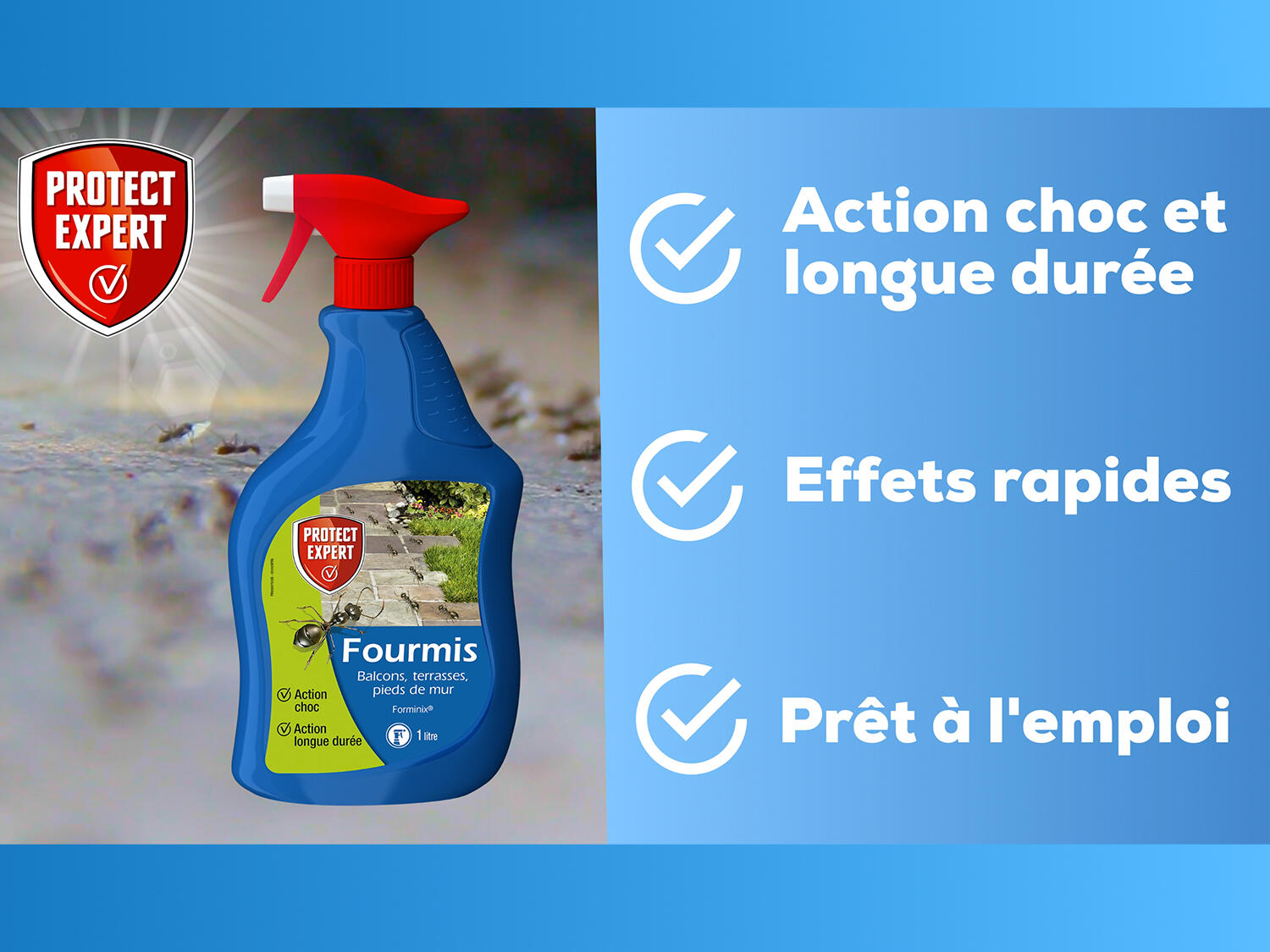 Spray antifourmis PROTECT, 1L - 3
