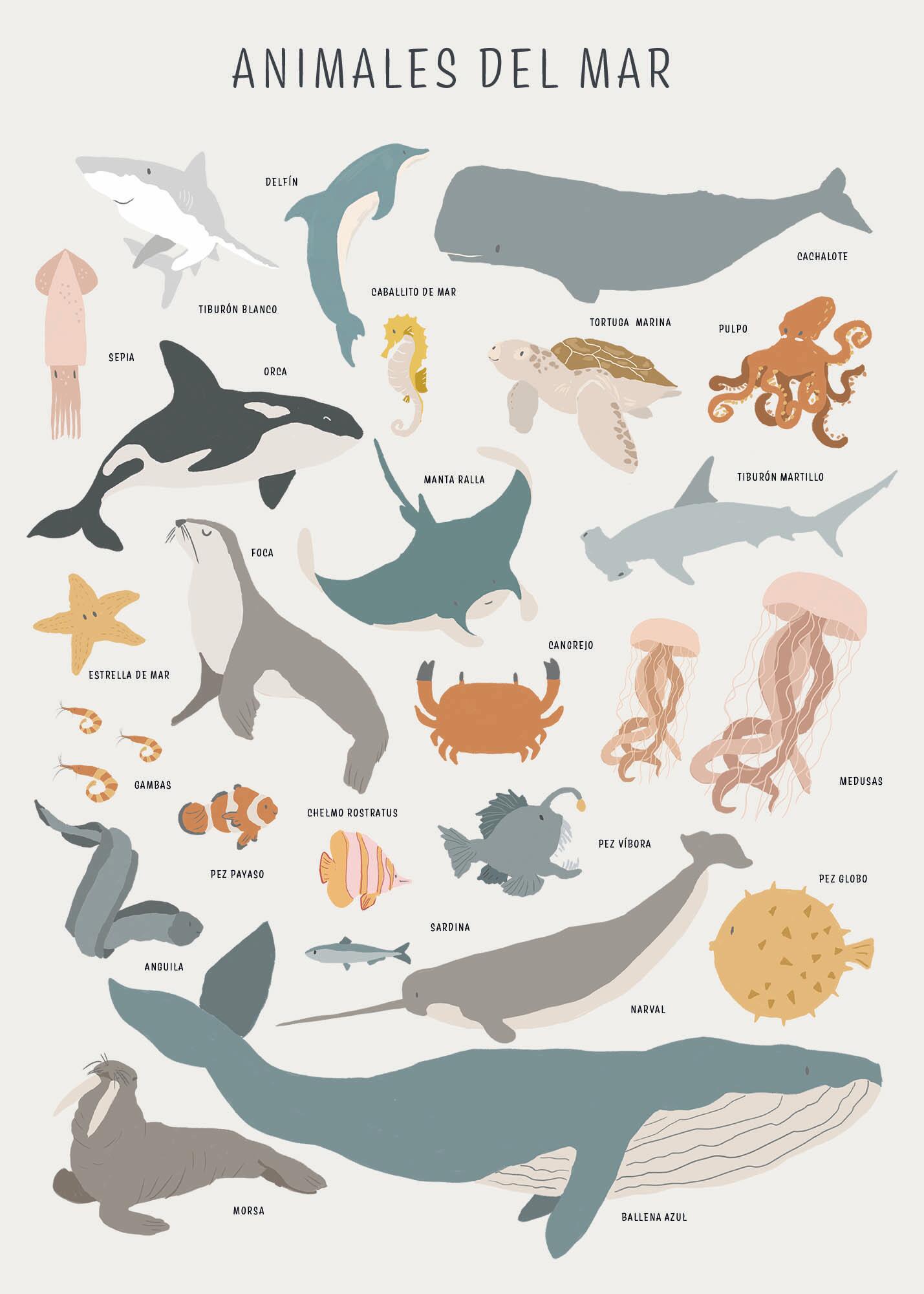 Lámina Infantil rectangular de 50 x 70 cm. Papel Animales Del Mar blanco, azul, gris y amarillo - 2