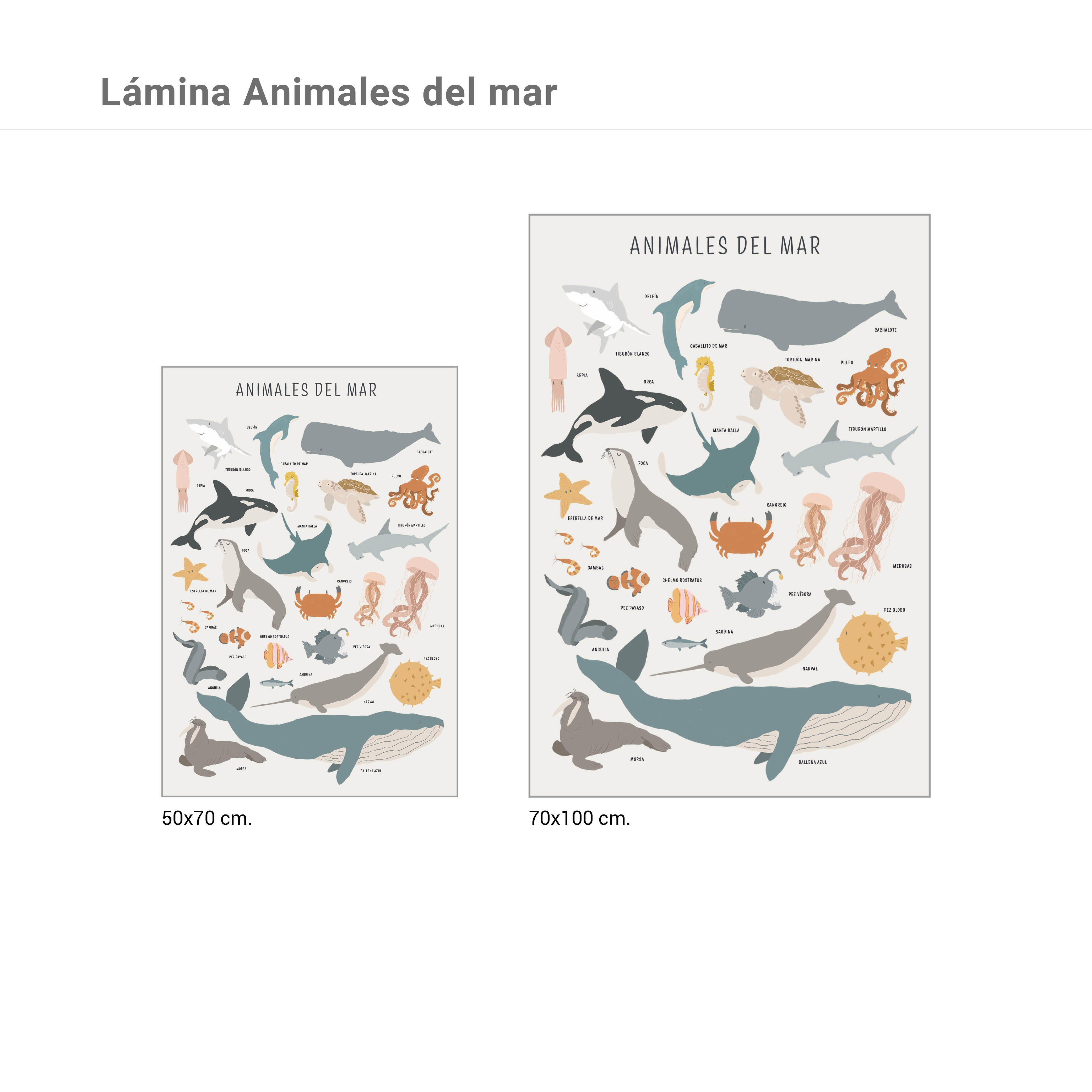 Lámina Infantil rectangular de 50 x 70 cm. Papel Animales Del Mar blanco, azul, gris y amarillo - 3