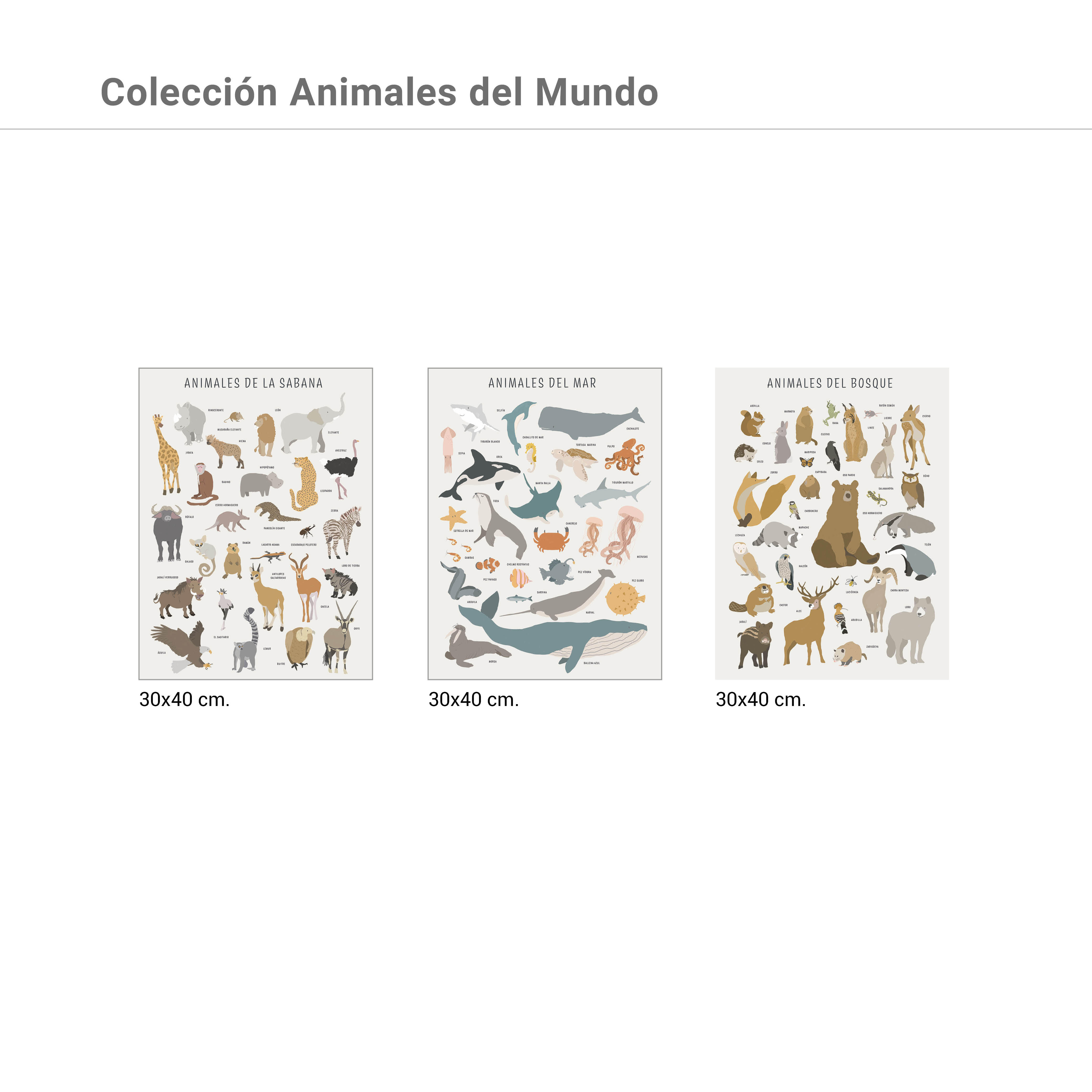 3 Láminas Infantil rectangular de 30 x 40 cm. Papel Animales Del Mundo multicolor - 3