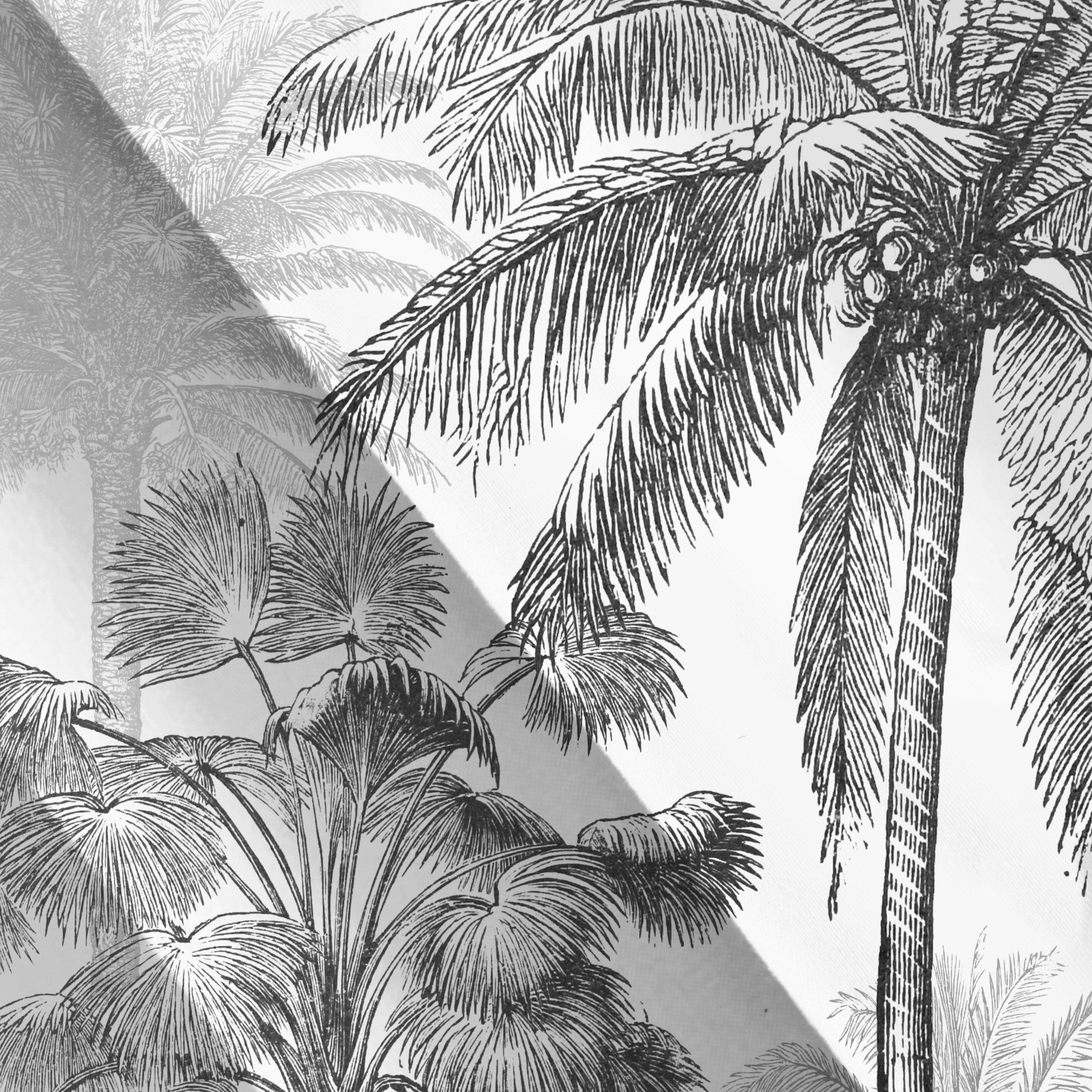 Cortinado ilhós Jungle 140x280cm branco cinza Inspire - 16