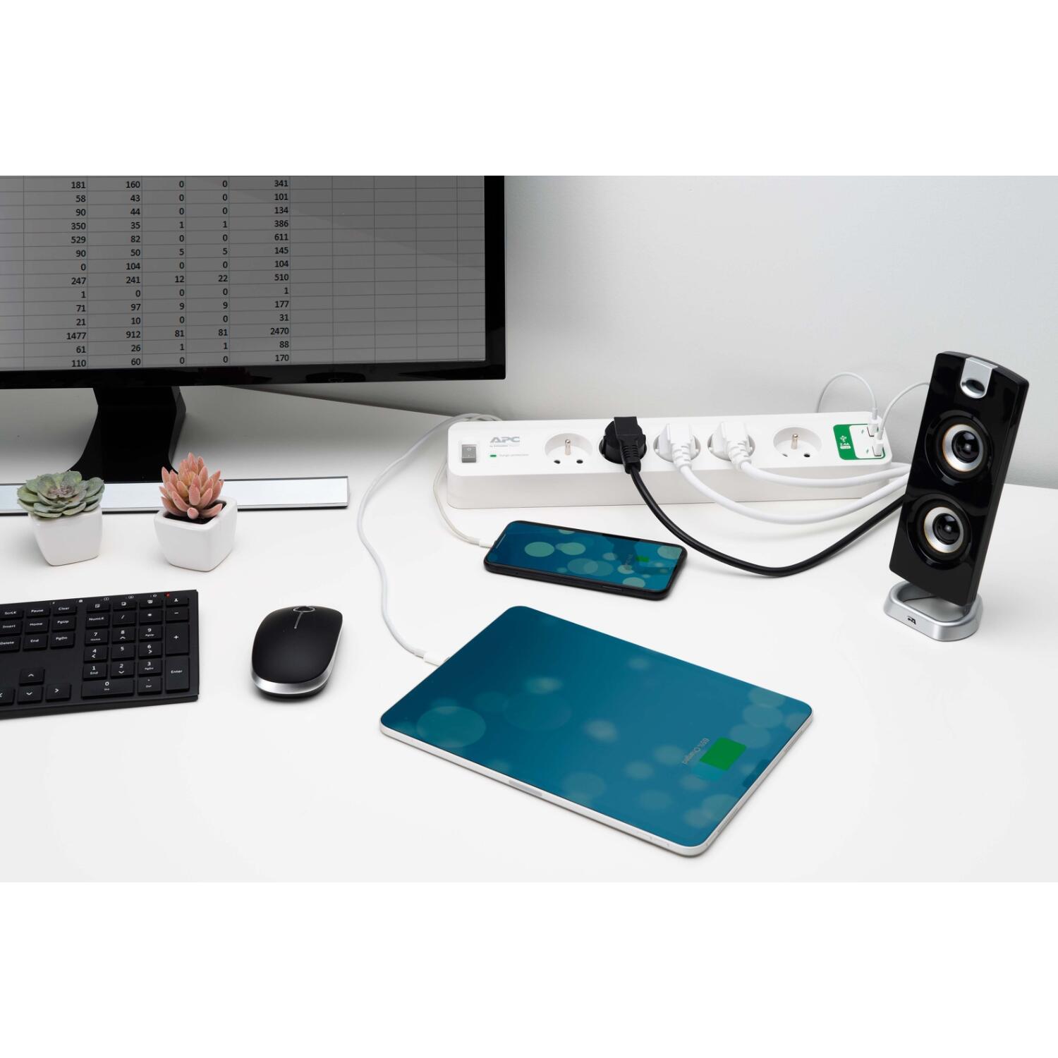 Multiprise parafoudre 5 prises + 2 ports usb, SCHNEIDER ELECTRIC - 5