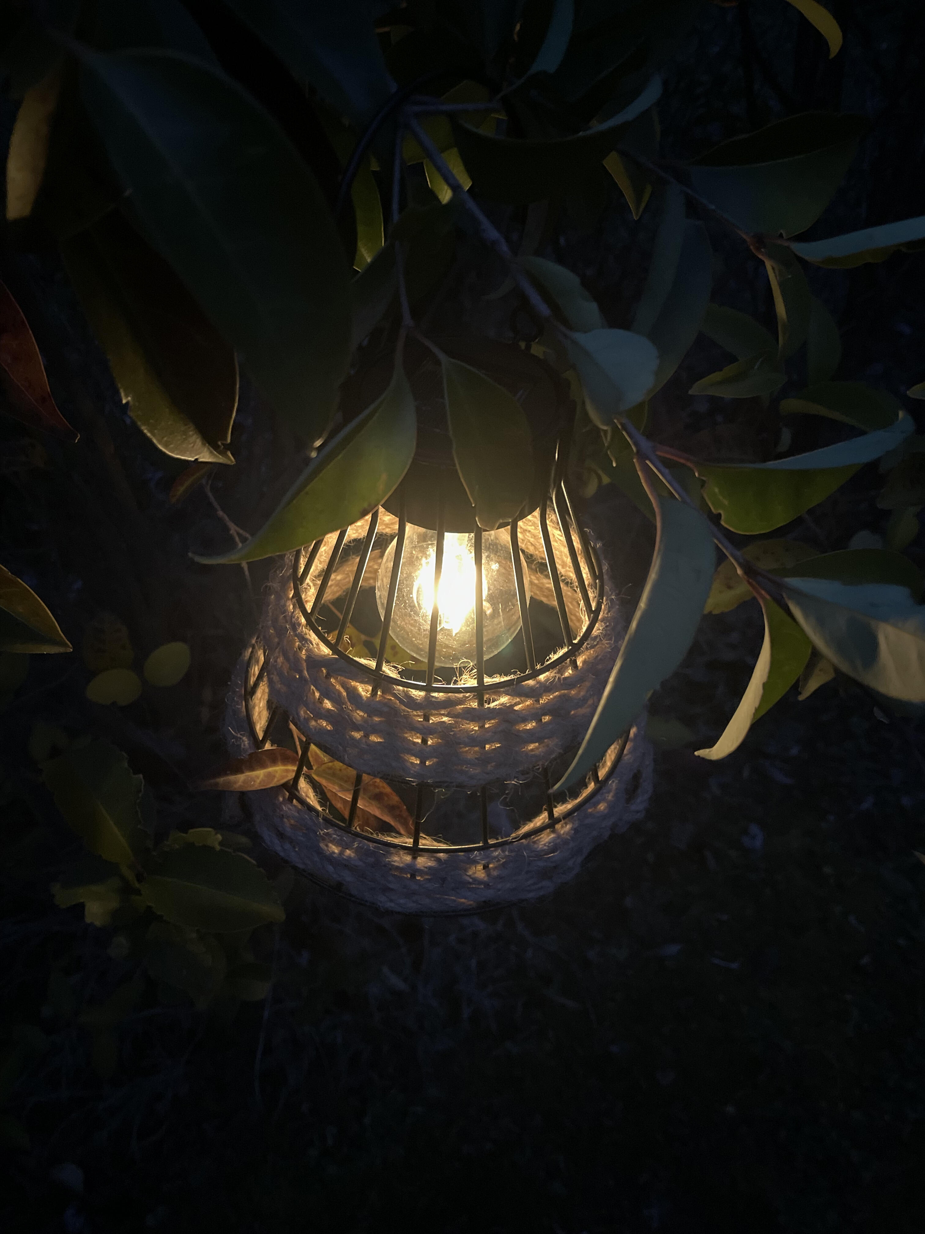 Lanterne solaire Bolero 5 Lumens métal et corde WATT & HOME - 3