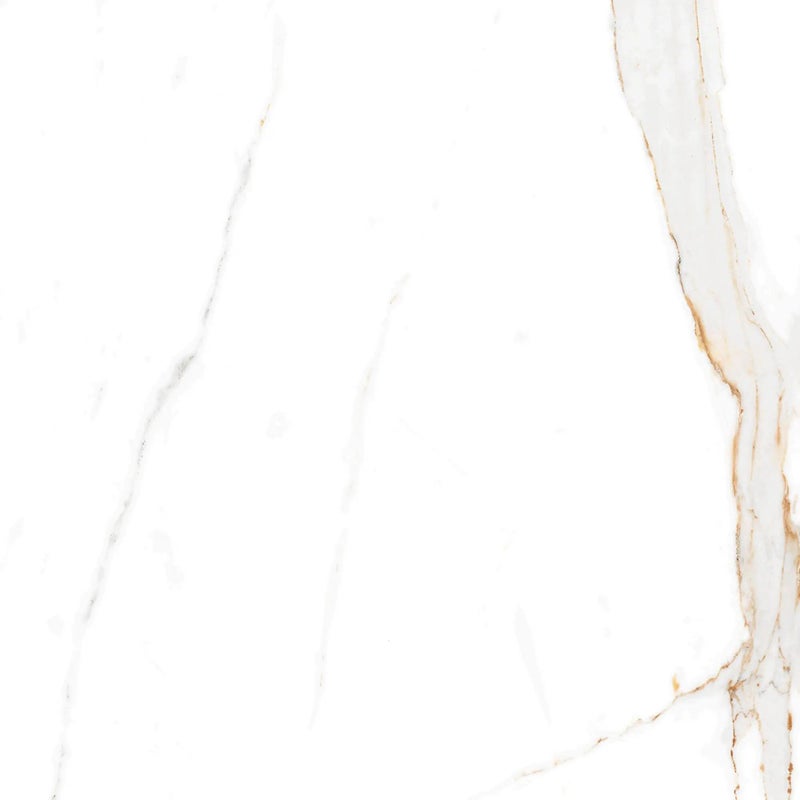 Gres szkliwiony Regal Carrara Lappato 60x60 Egen