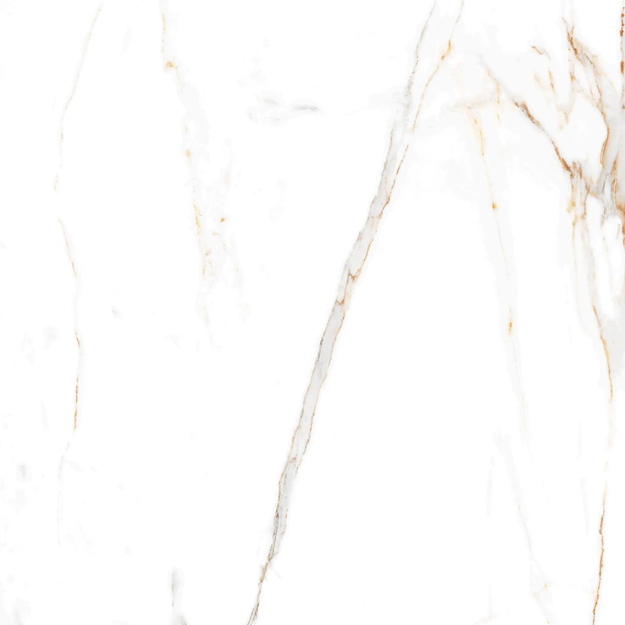 Gres szkliwiony Regal Carrara Lappato 60x60 Egen - 5