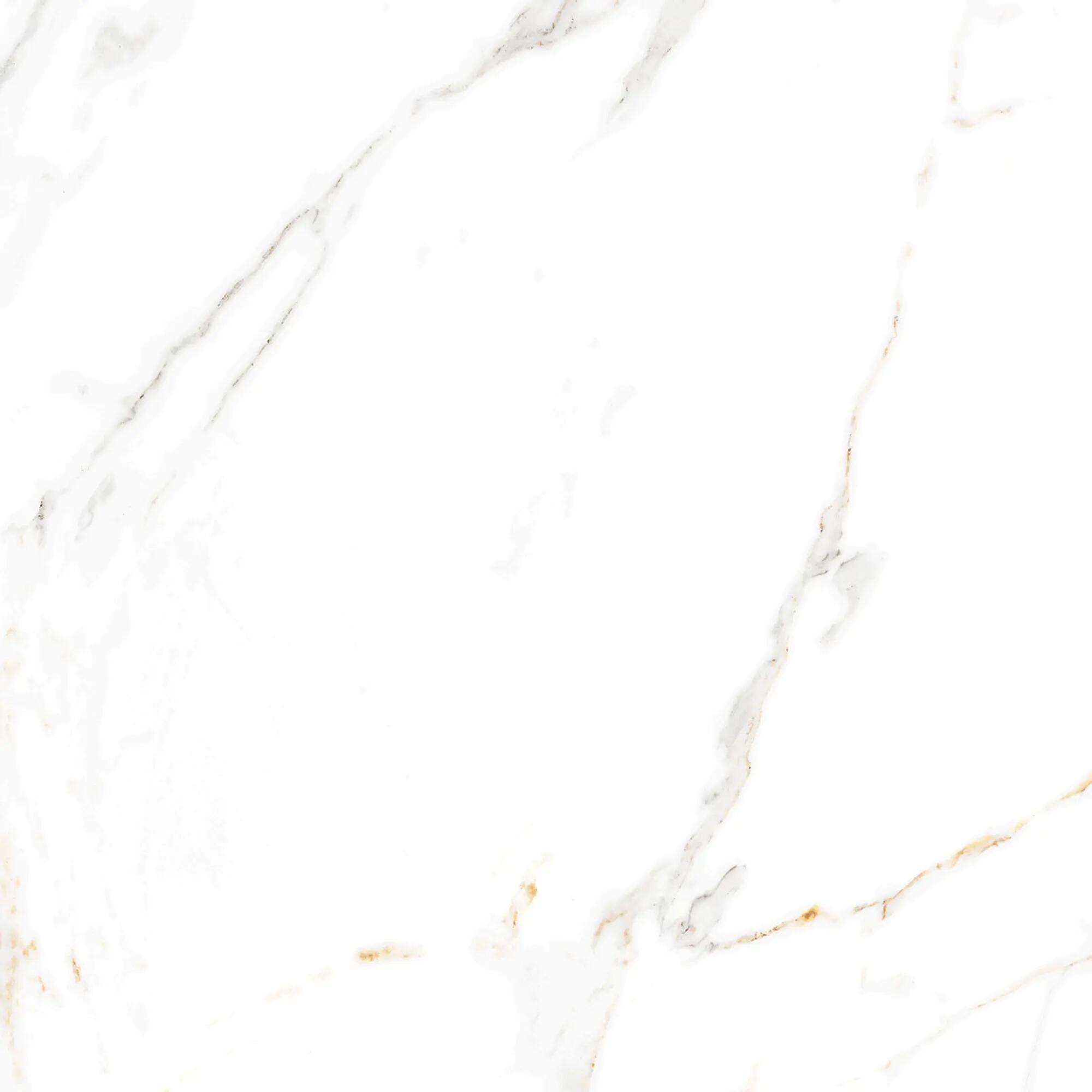 Gres szkliwiony Regal Carrara Lappato 60x60 Egen - 4