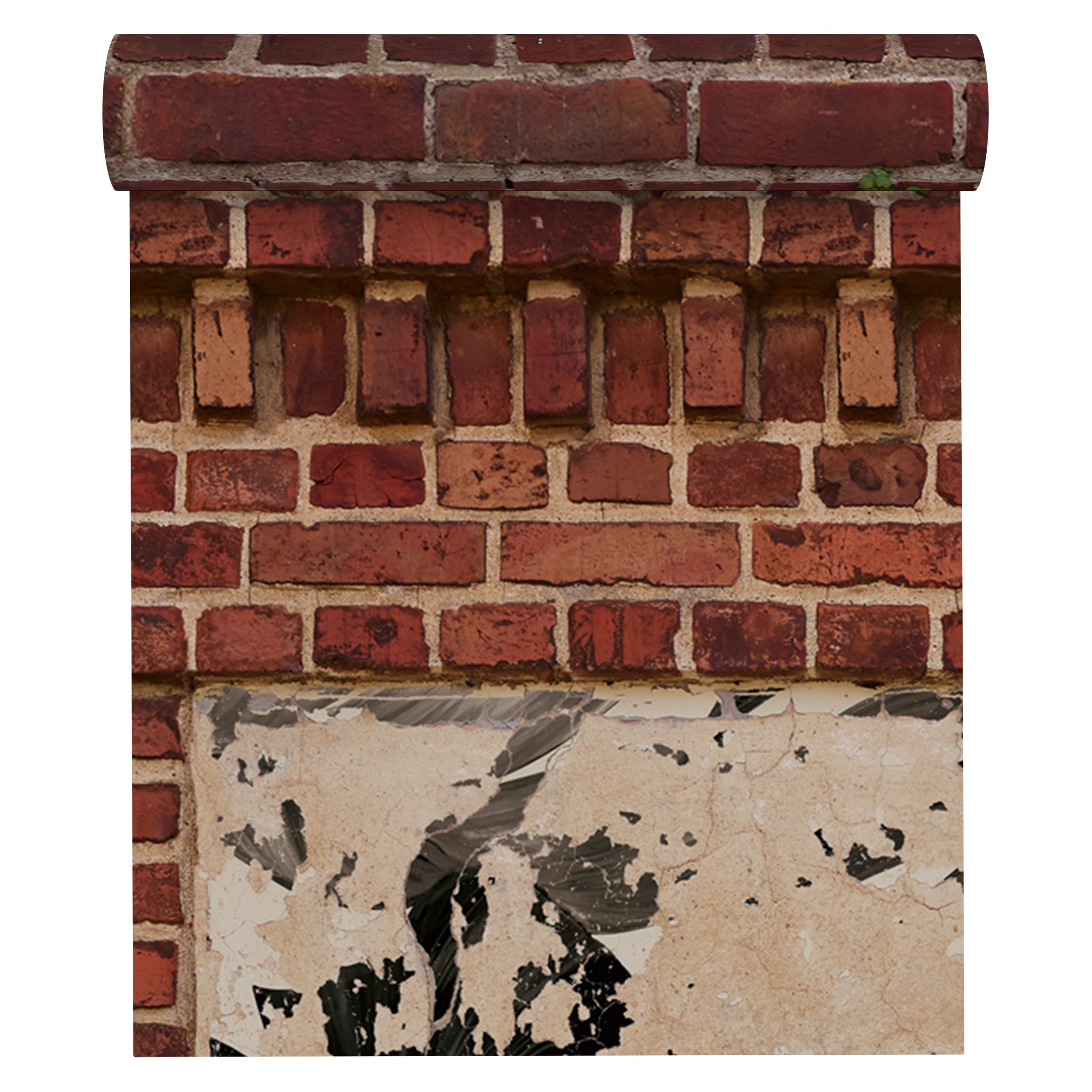Tapeta panoramiczna The Wall Industrial Liście czarne 159 x 280 cm - 2