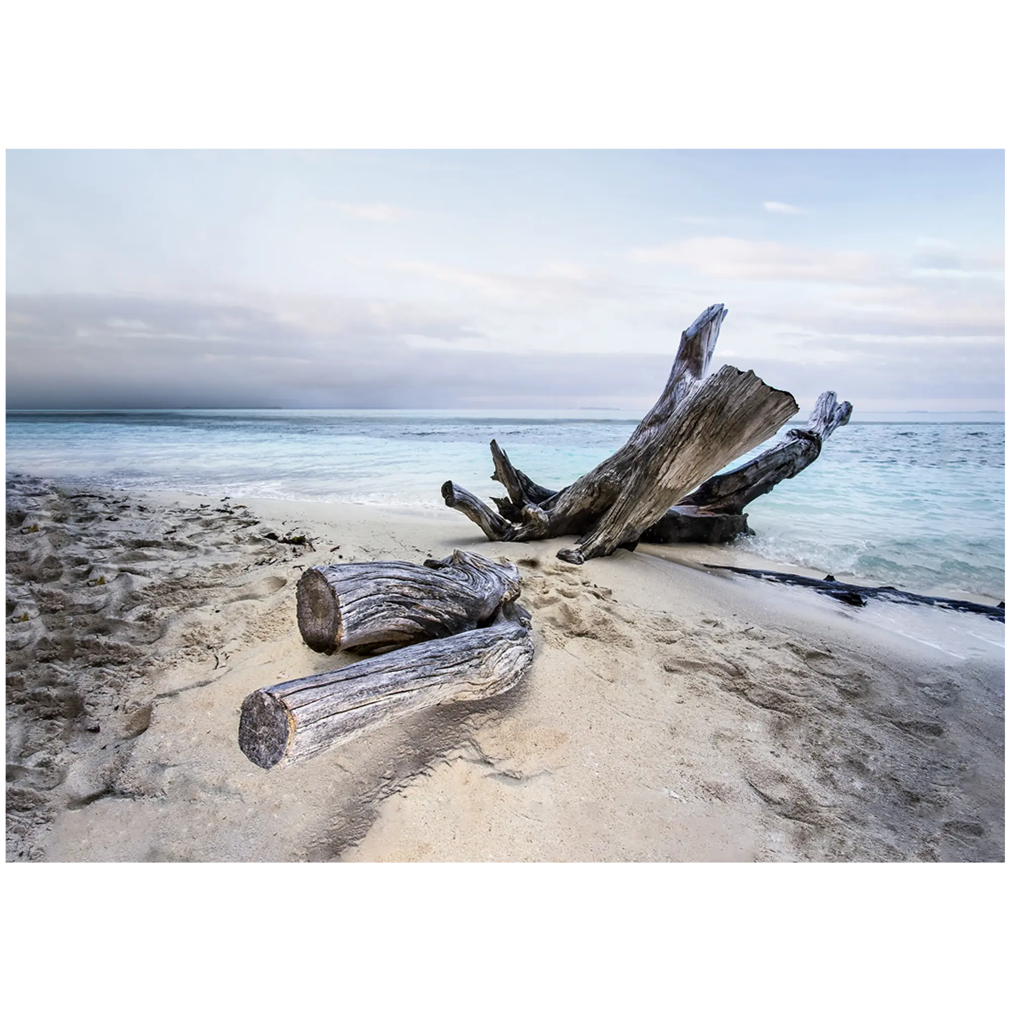 Kanwa Branch 100 x 70 cm