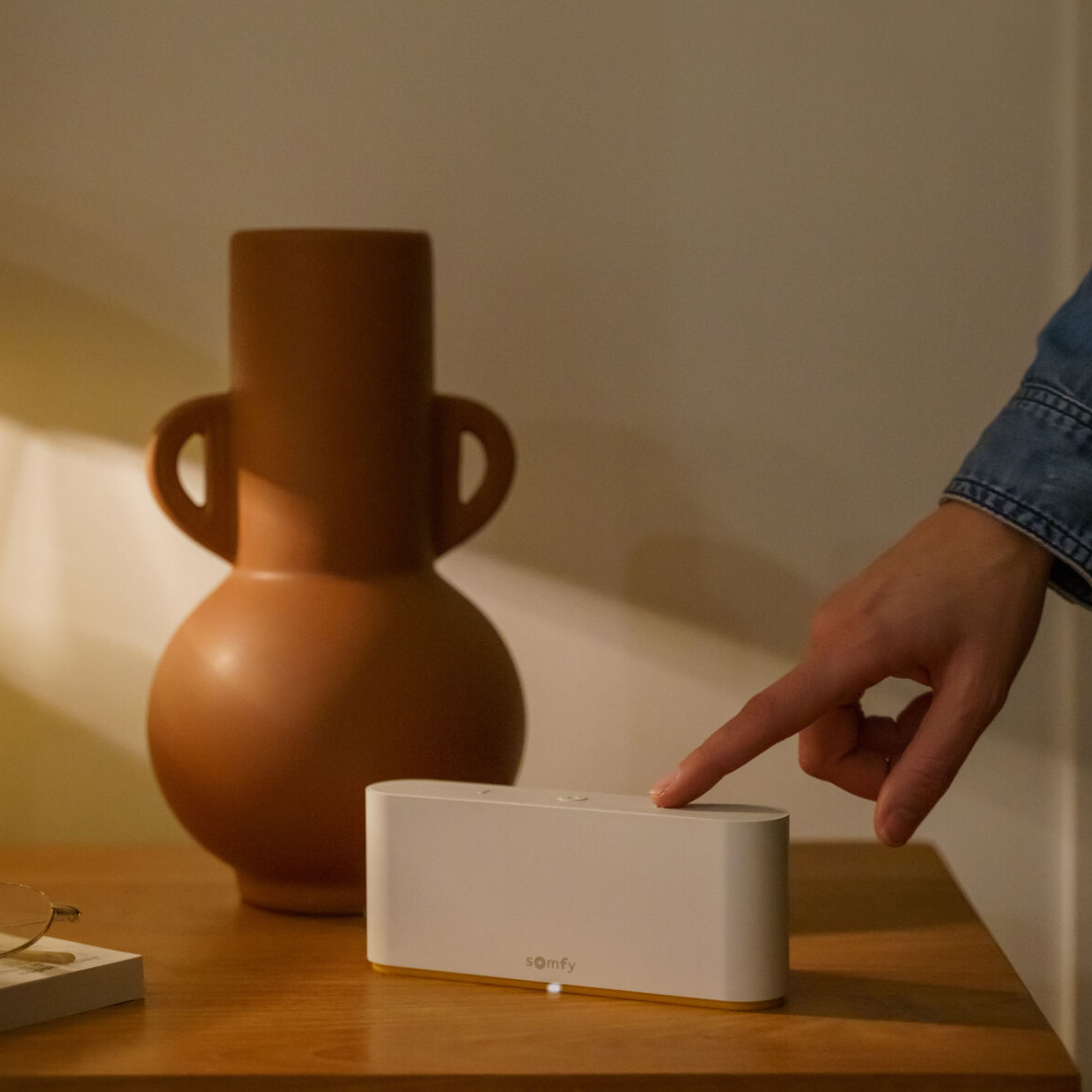 Centrala sterująca TaHoma Switch SOMFY - 4