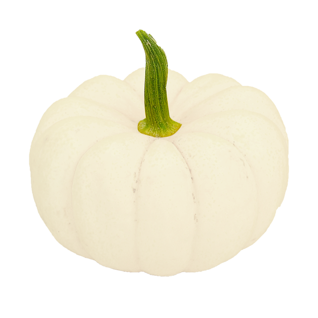 Dynia ozdobna Casperita 8-10 cm