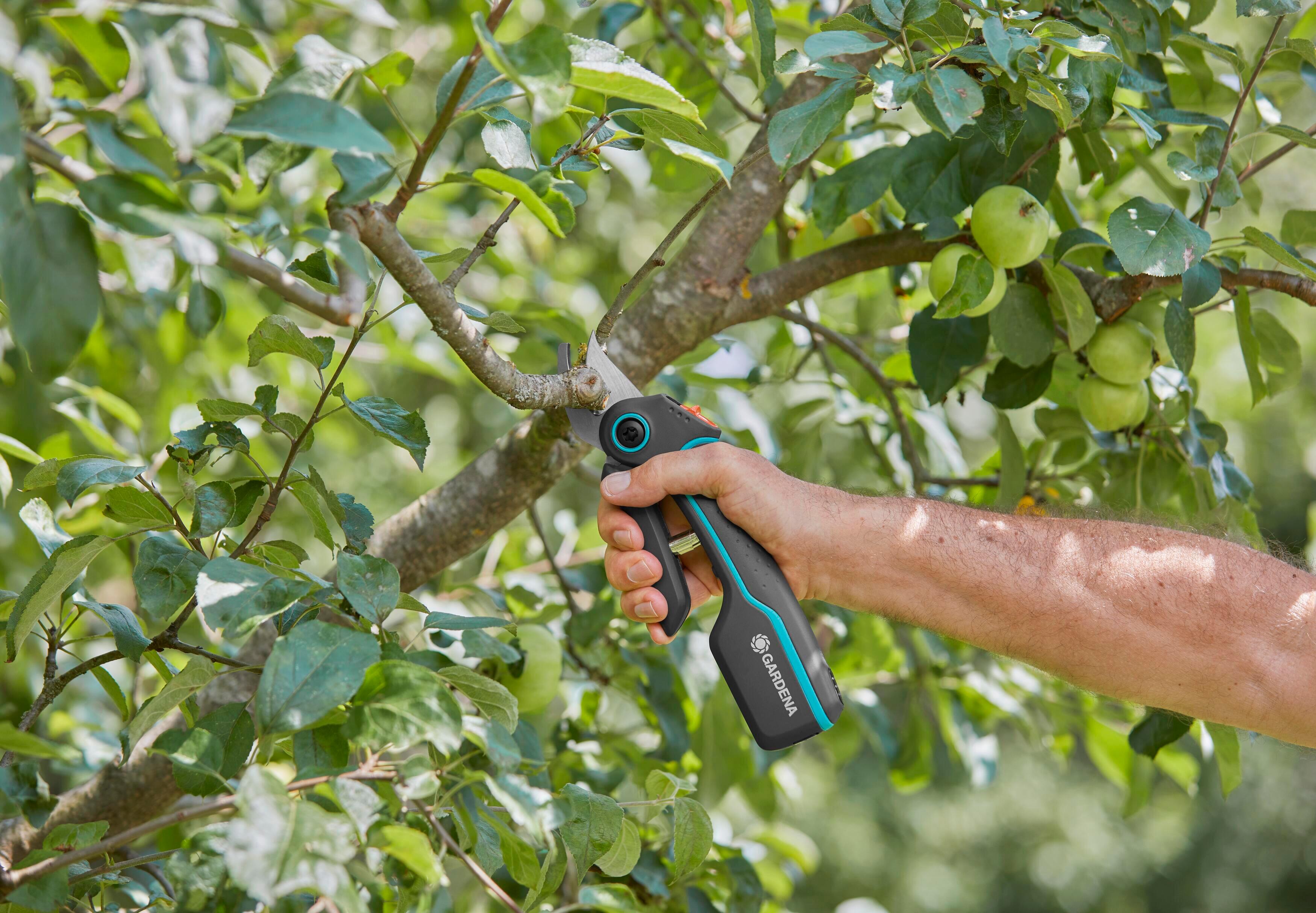 Cesoie potatura a batteria da giardino GARDENA a batteria AssistCut 3.6V, 1 batteria inclusa - 10