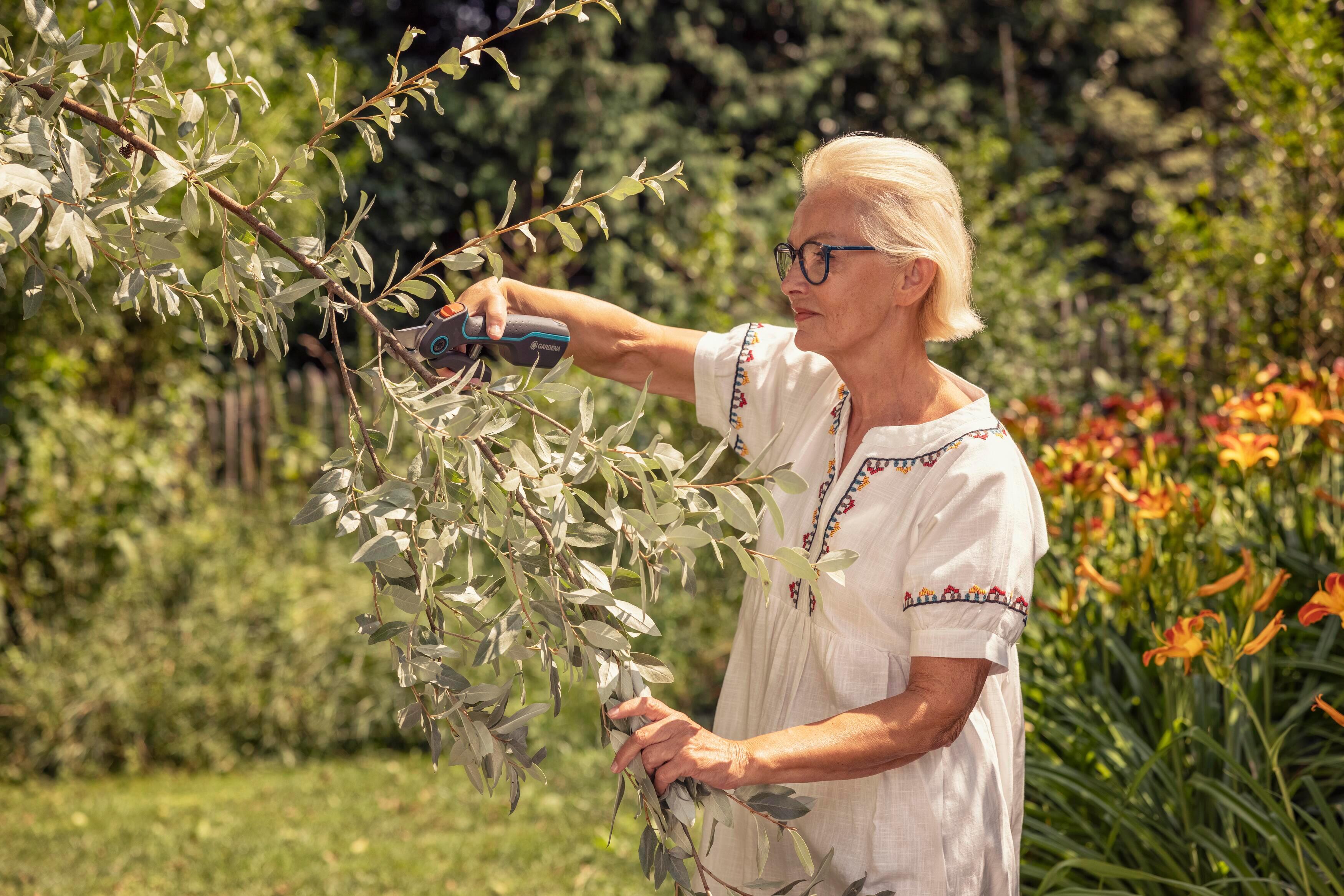 Cesoie potatura a batteria da giardino GARDENA a batteria AssistCut 3.6V, 1 batteria inclusa - 7