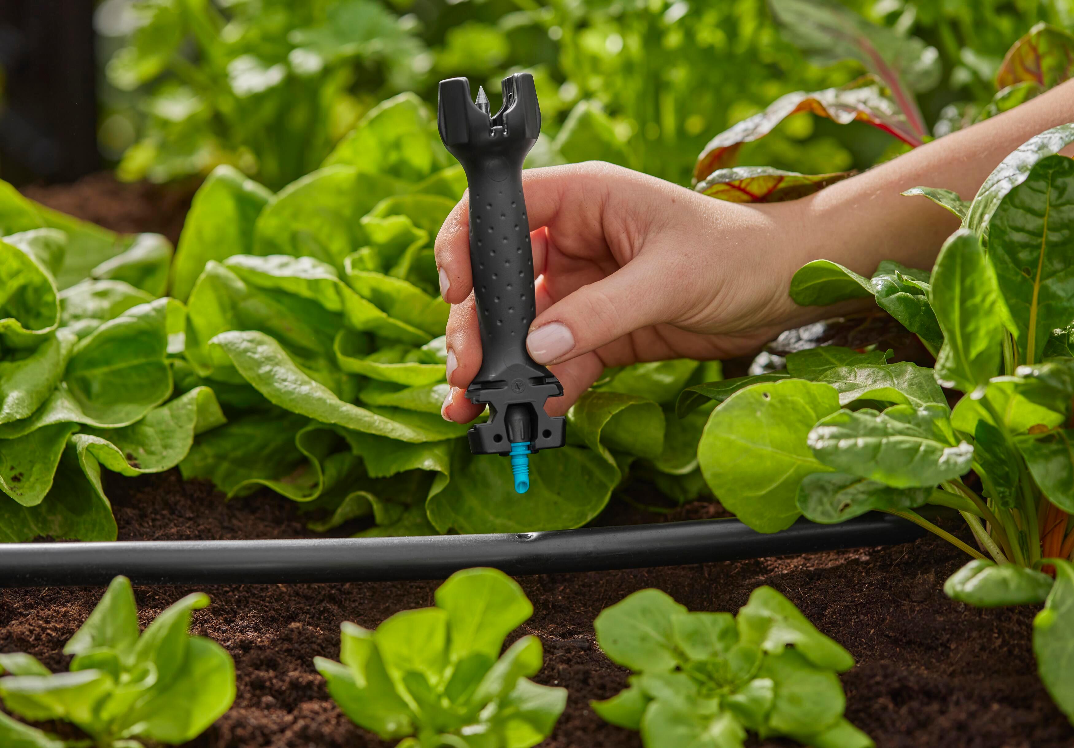 Installation du système d'arrosage goutte à goutte Gardena