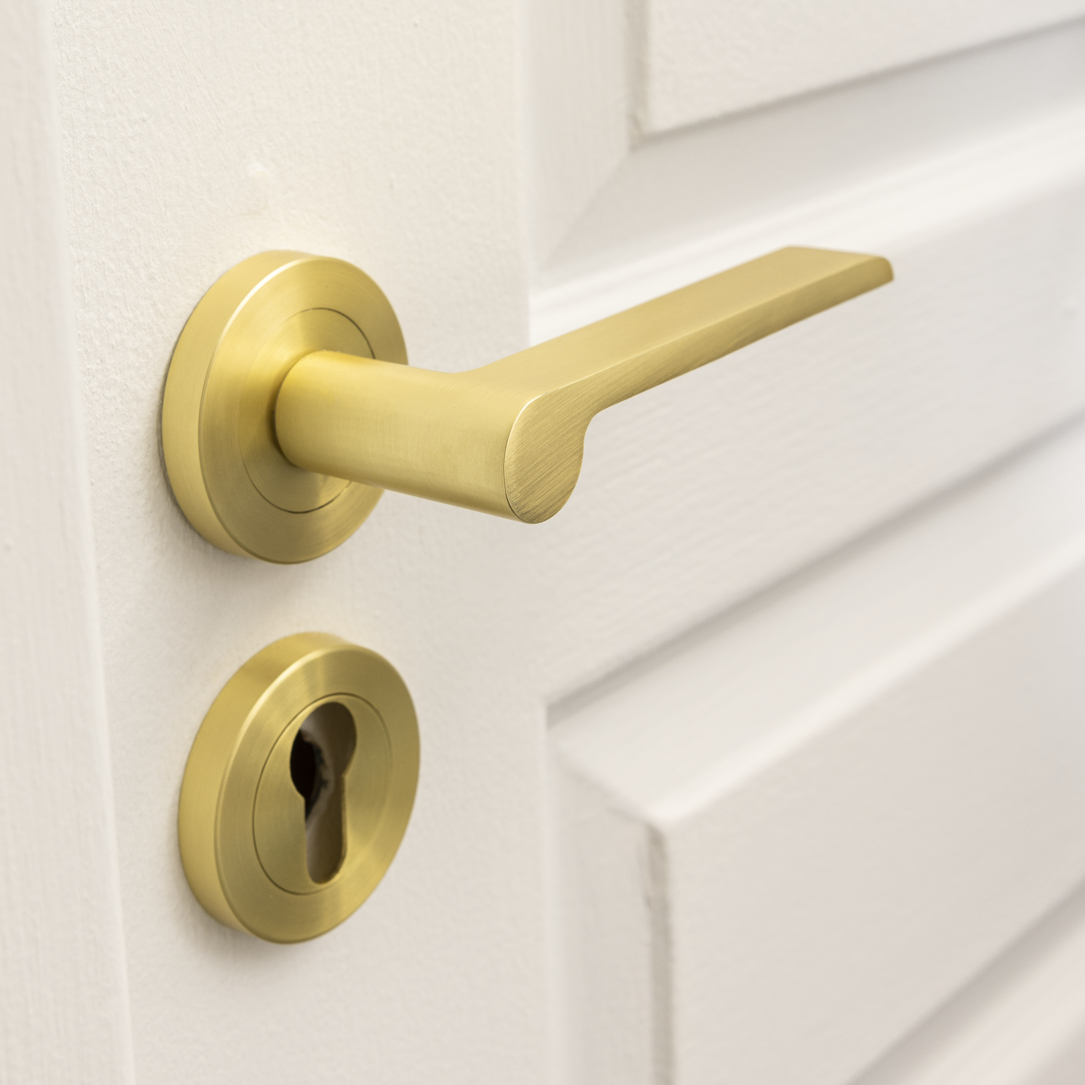 Puxador de porta roseta alumínio dourado escovado mate Inspire Birdie - 4