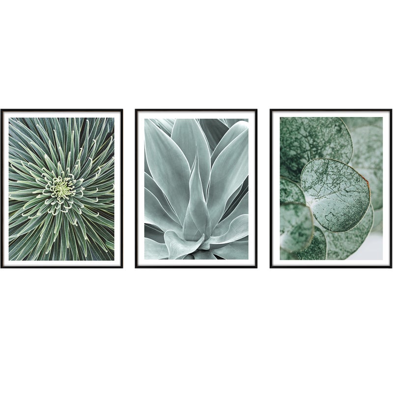 Zdjęcia - Obraz Roślinność 3 elementy 3x 30 x 40 cm