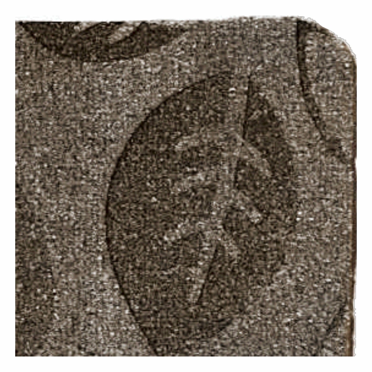 Zerbino Zeli in poliestere marrone rettangolare, L 70 x L 25 cm - 3