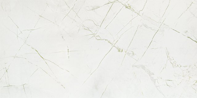 Glazura Rainforest White Glos 59.8x119.8 Arte