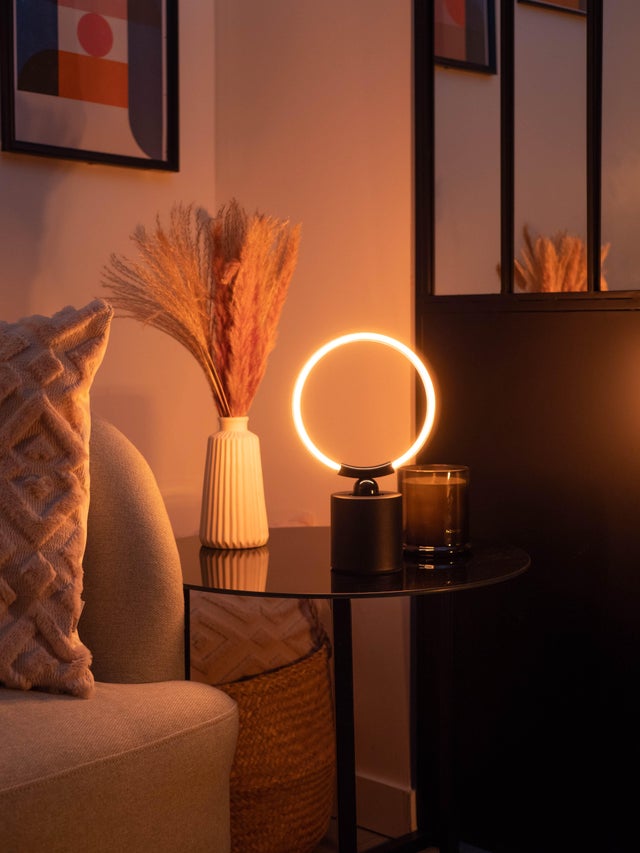 Ampoule décorative, petit cercle, E27, 800lm = 60W, blanc chaud, XANLITE