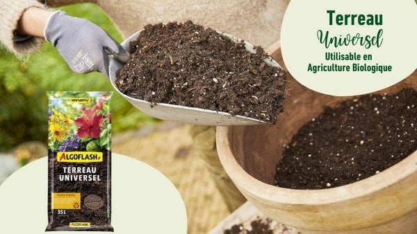 Vos plantes vont prendre racine !