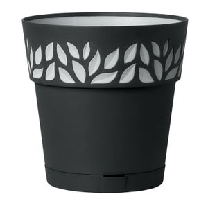 Falso Gelsomino (Rhyncospermum Jasminoides) In Vaso 3 Litri - Pianta Rampicante Con Canna Di Supporto H 180 Cm - Foto 8