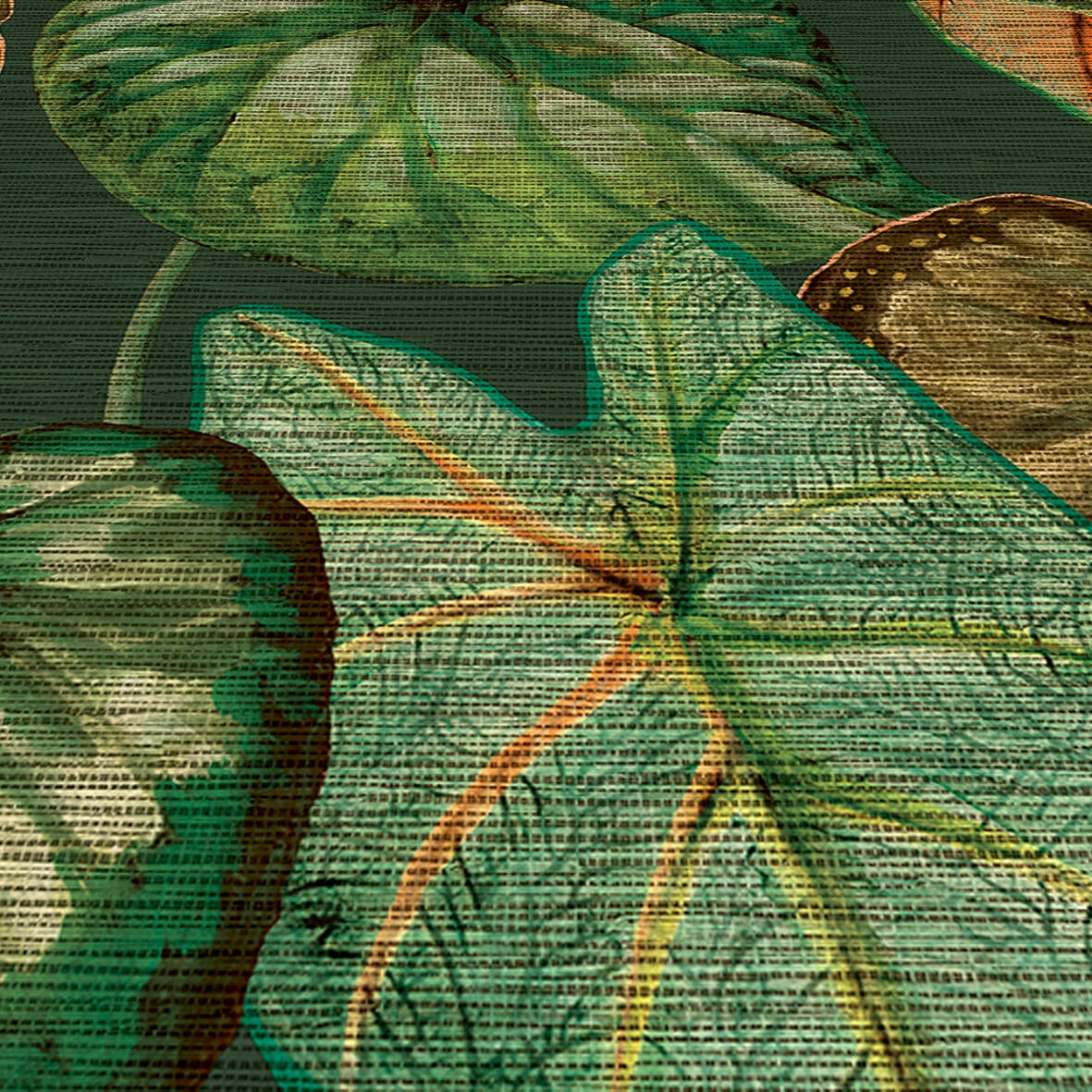 Carta da parati Ninfea verde, 53 cm x 10.05 m - 2