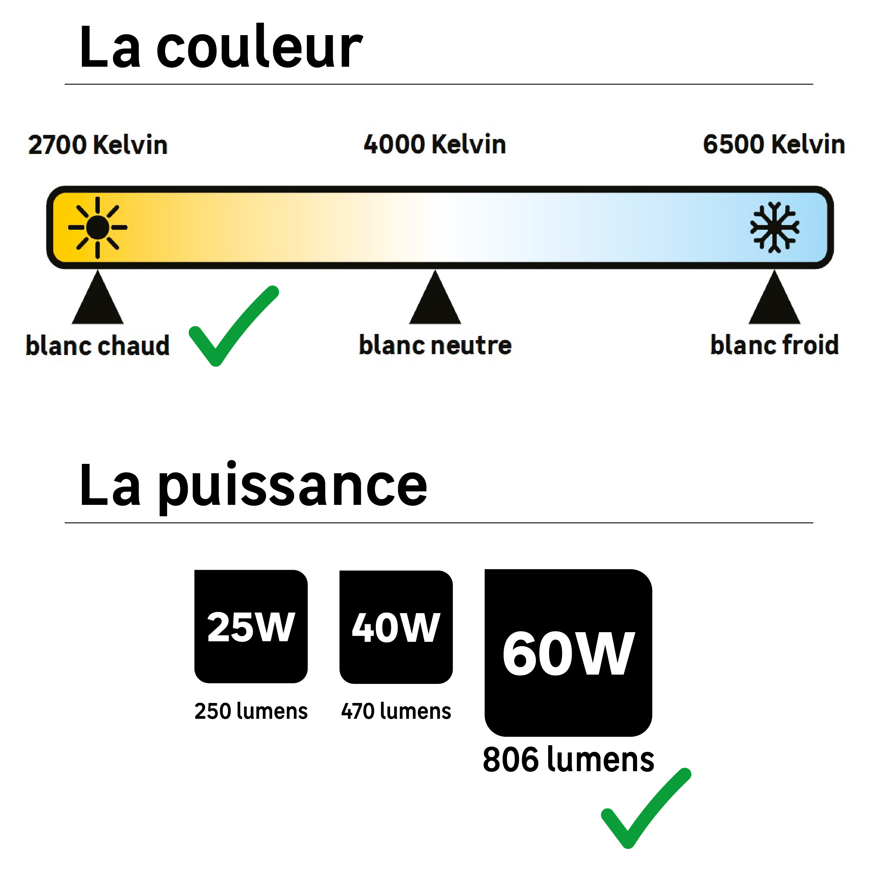 3 ampoules led à filament, sphérique, E14, 806lm = 60W, blanc chaud, LEXMAN - 2