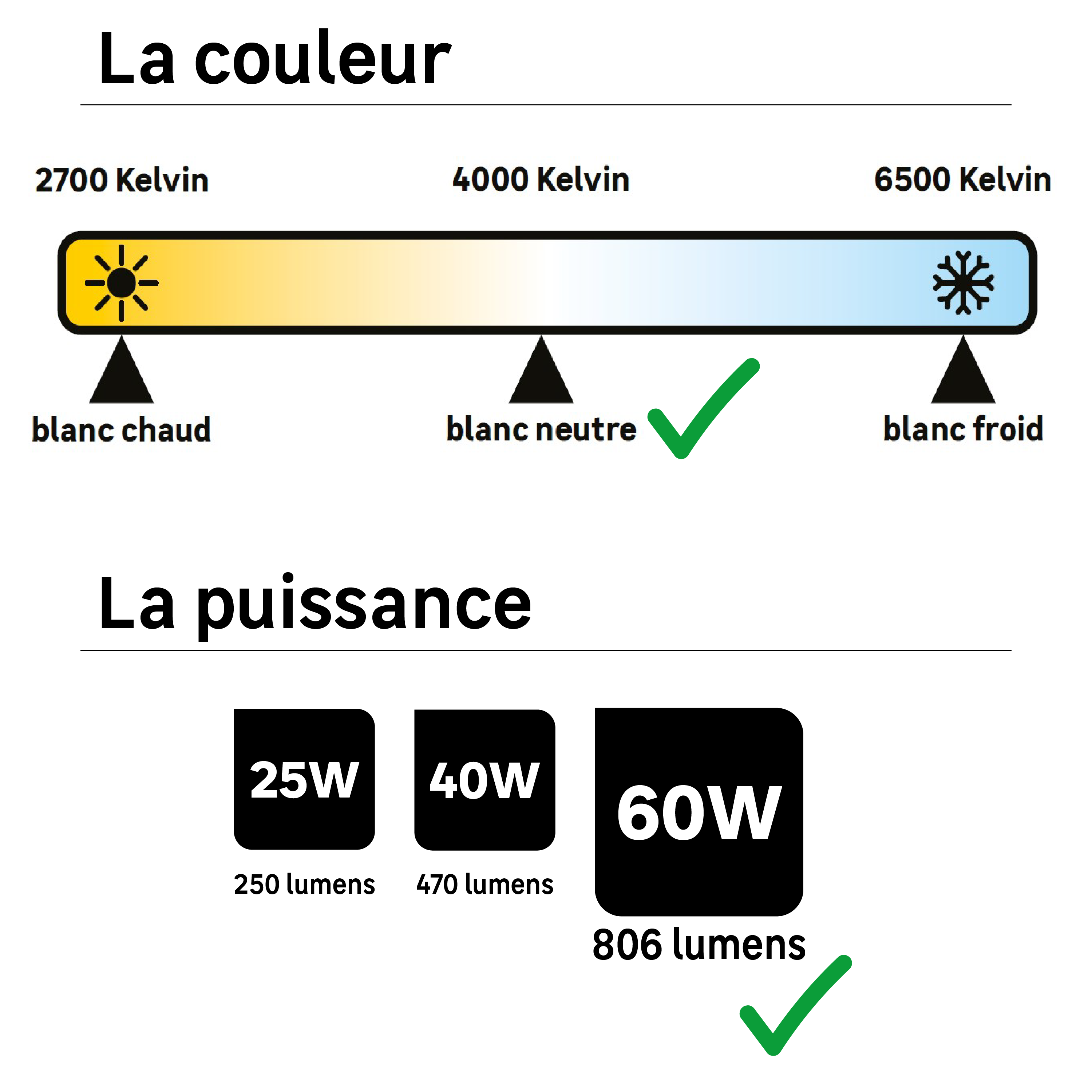 3 ampoules led à filament, sphérique, E14, 806lm = 60W, blanc neutre, LEXMAN - 2