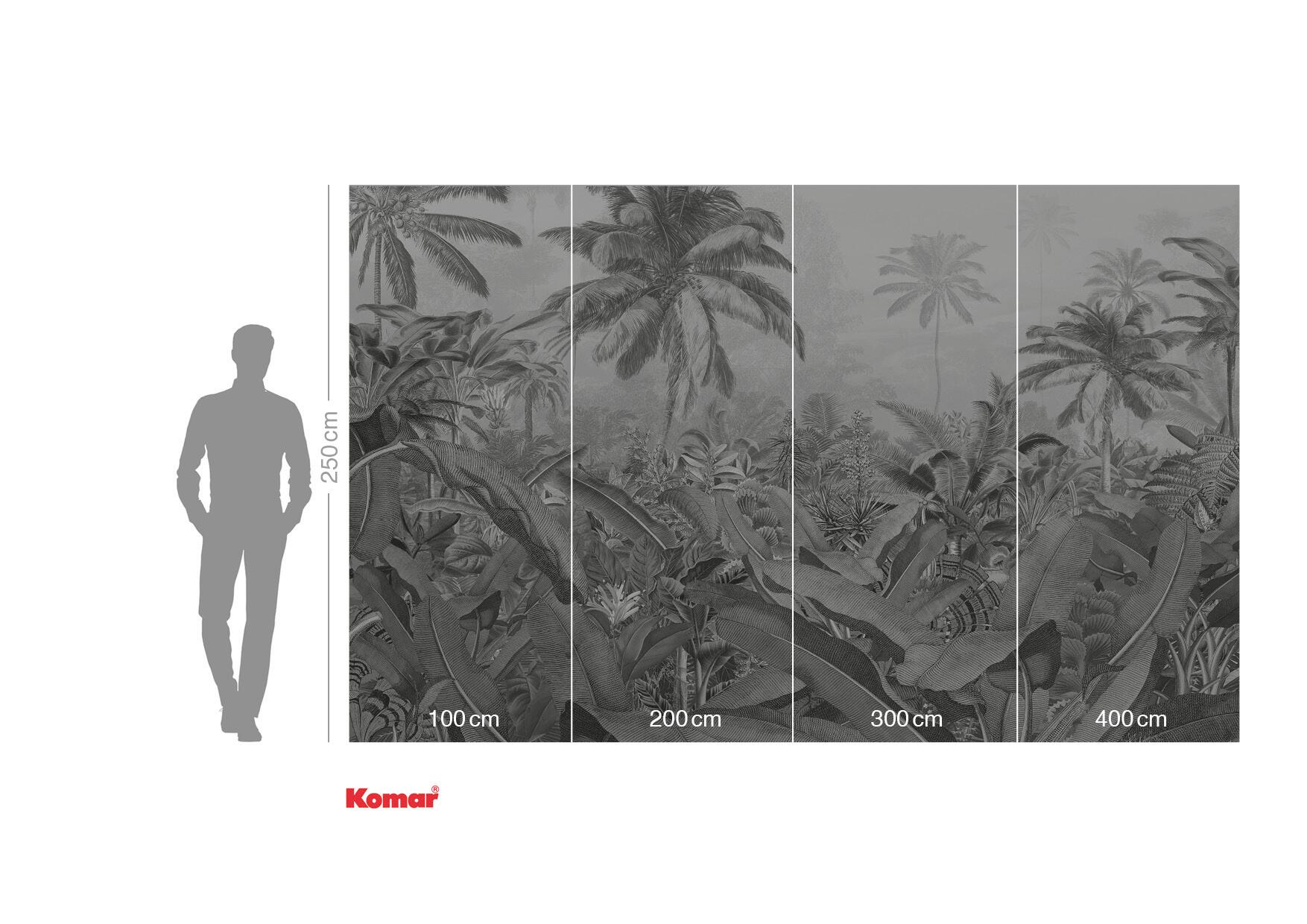 Papier peint panoramique Amazonia noir et blanc l.400 x H.250 cm - 3