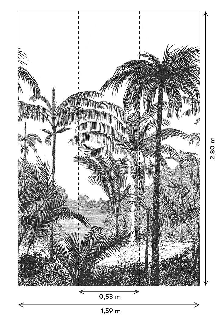 Papier peint panoramique Feuille Palm Scenery noir et blanc l.159 x H.280 cm - 3