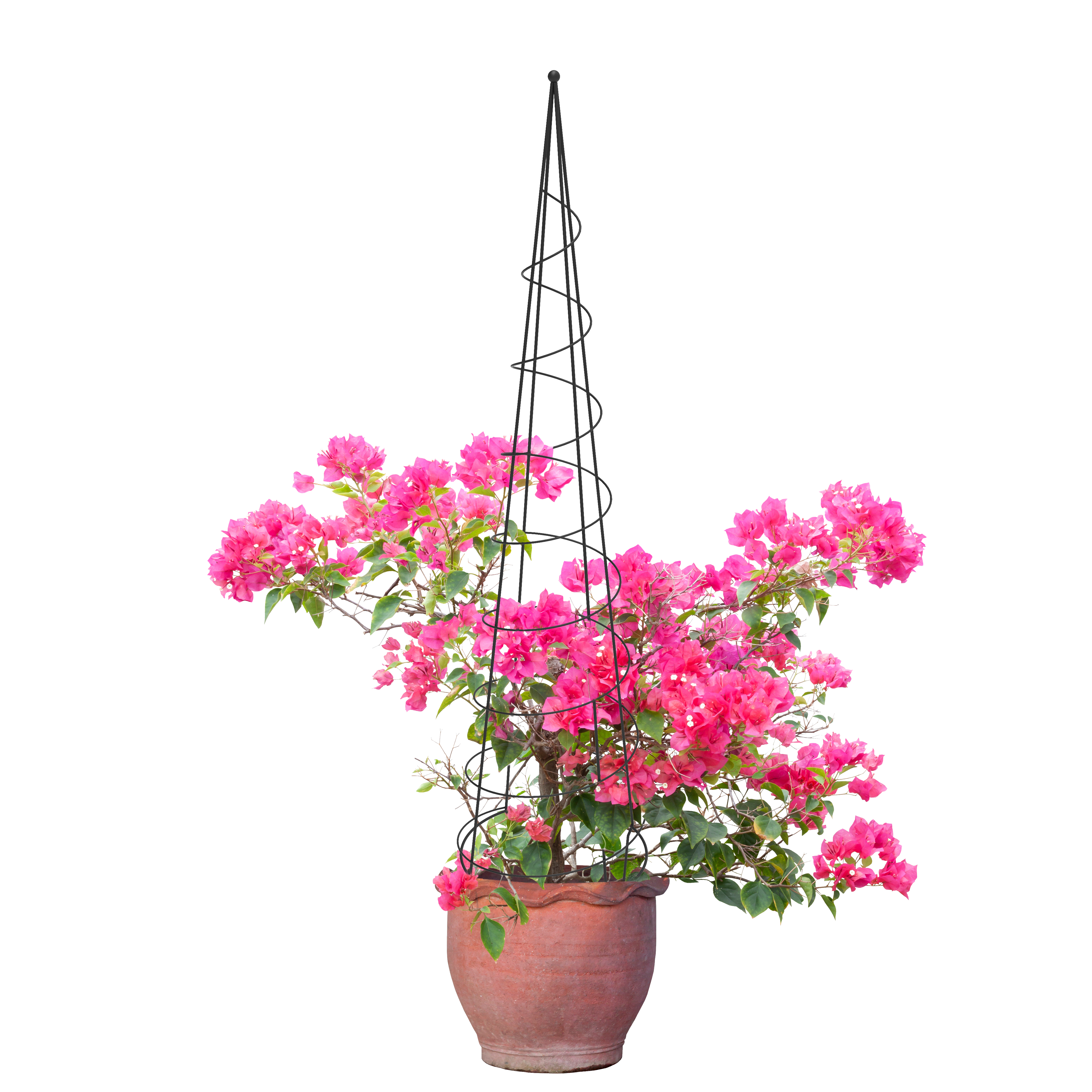 Pergola ogrodowa obelisk 150x31,5 cm metalowa Lustan - 3