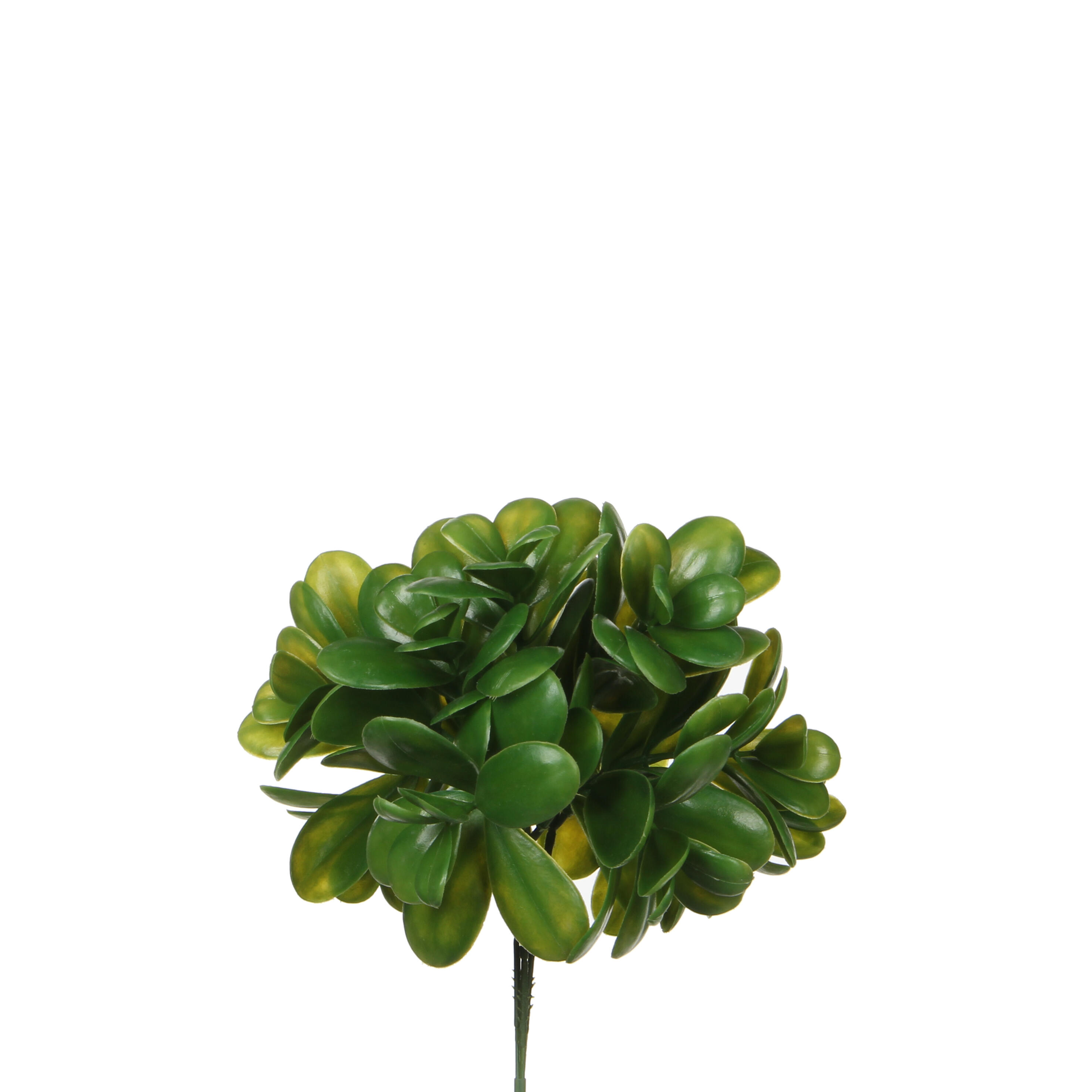 Vara artificial crassula 20cm