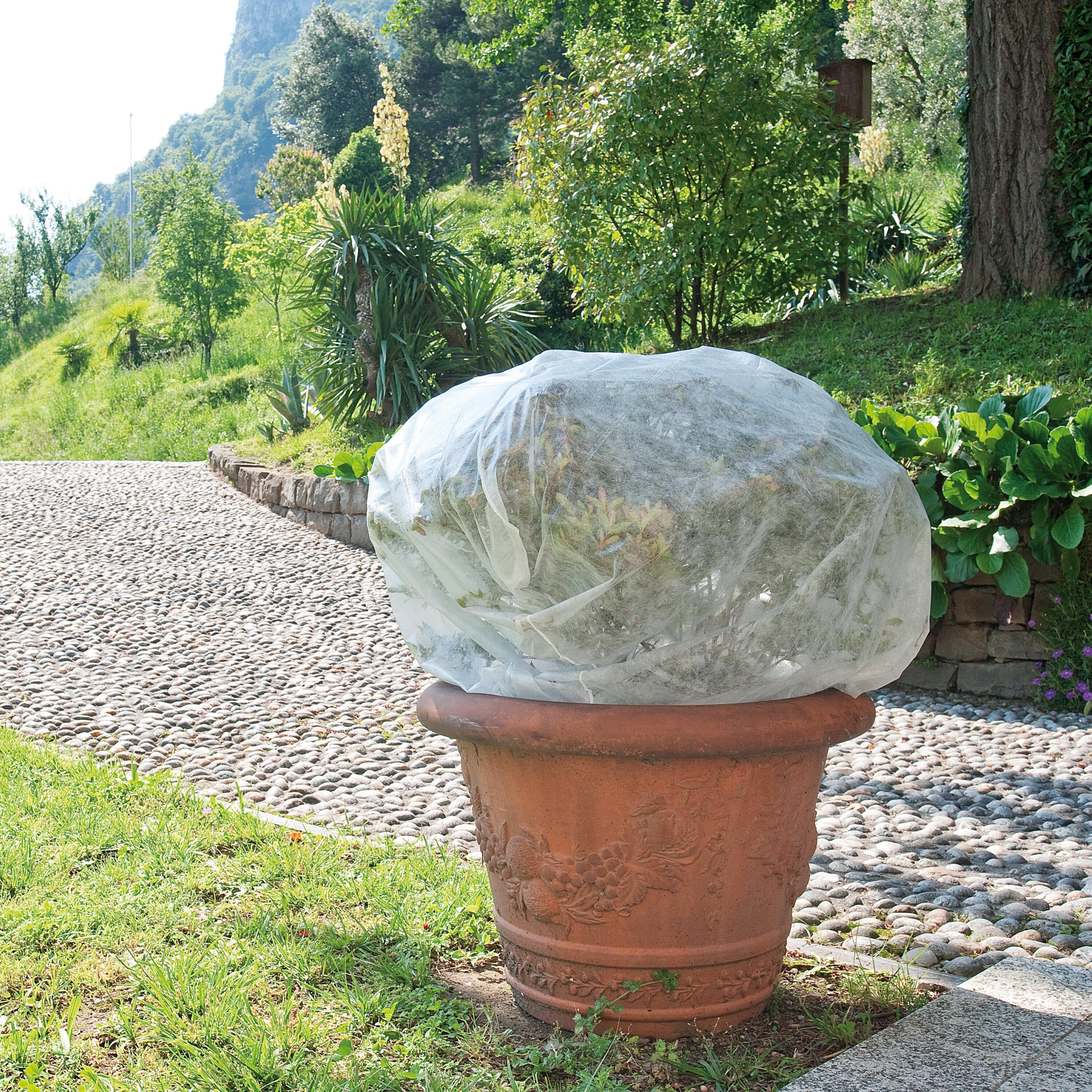 Telo di protezione per colture TENAX Saccoclima 1.6 x 1 m 17 g/m² - 3