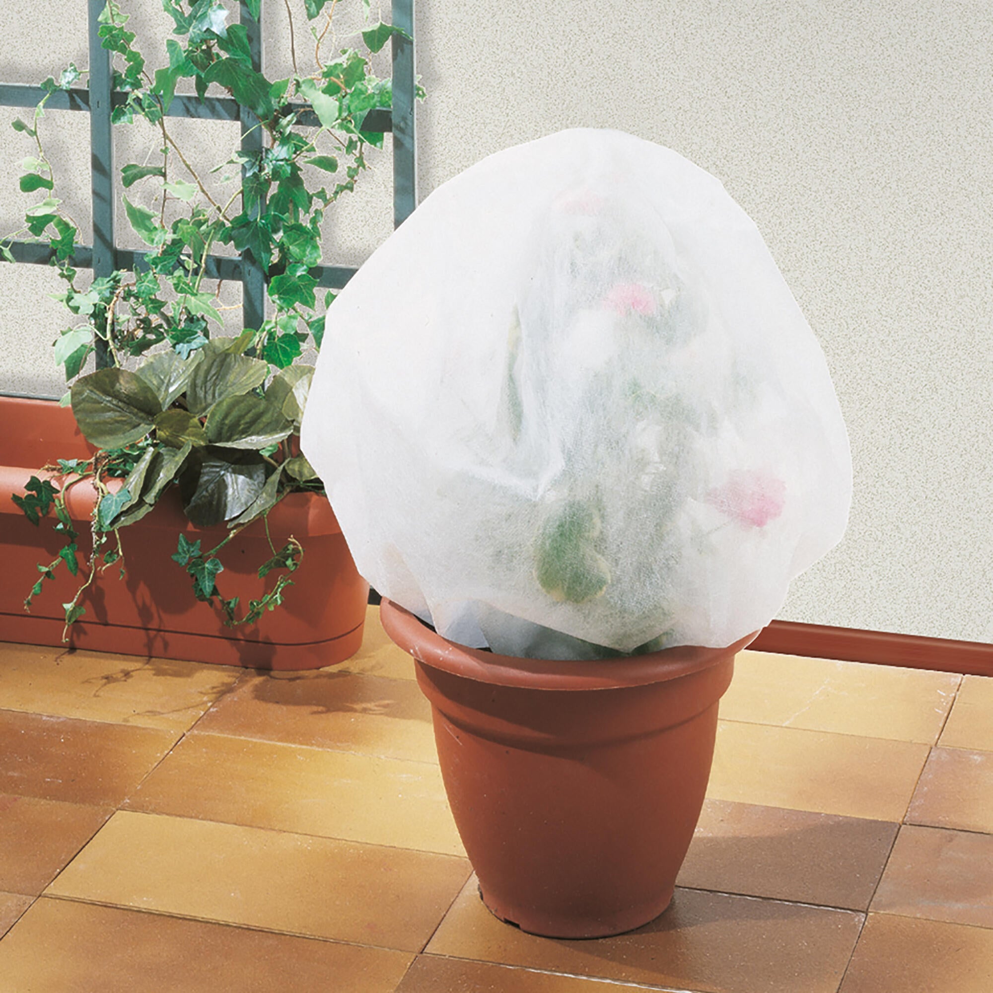 Telo di protezione per colture TENAX Saccoclima 1.6 x 1 m 17 g/m² - 2