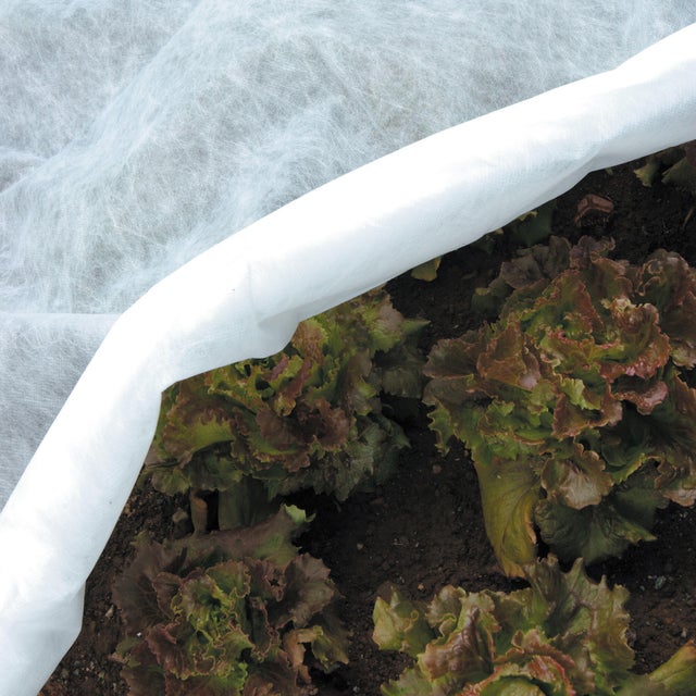 Telo di protezione per colture TENAX Ortoclima Plus 20 x 2 m 30 g/m²