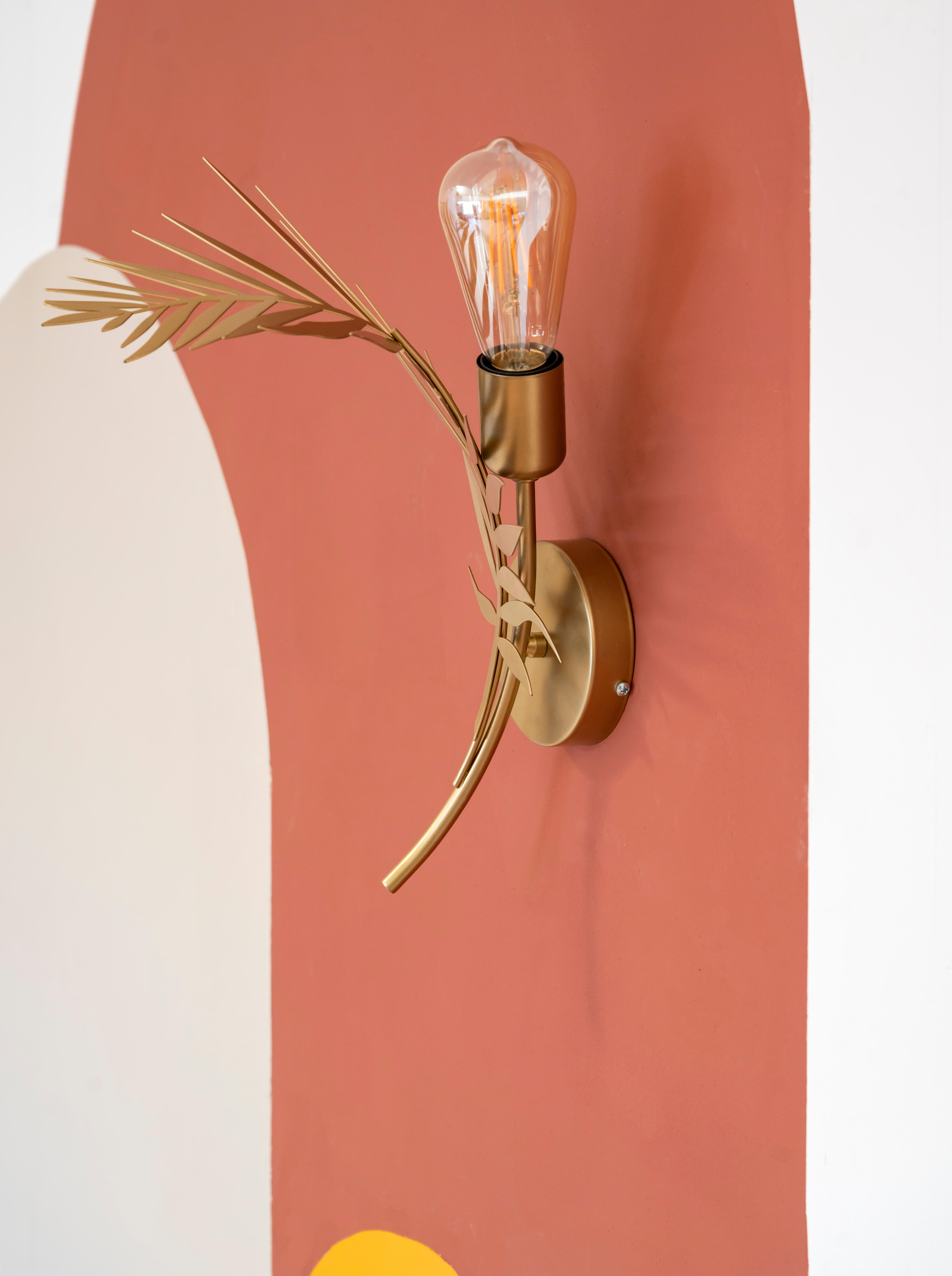 Pintura de interior Biobase LUXENS color terra 5 mate 4L para paredes y techos - 9