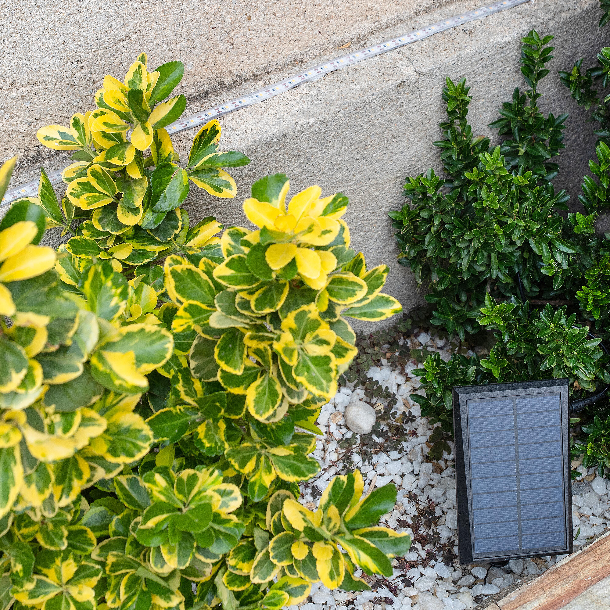 Luce a nastro solare led Dalia 3000K - 2