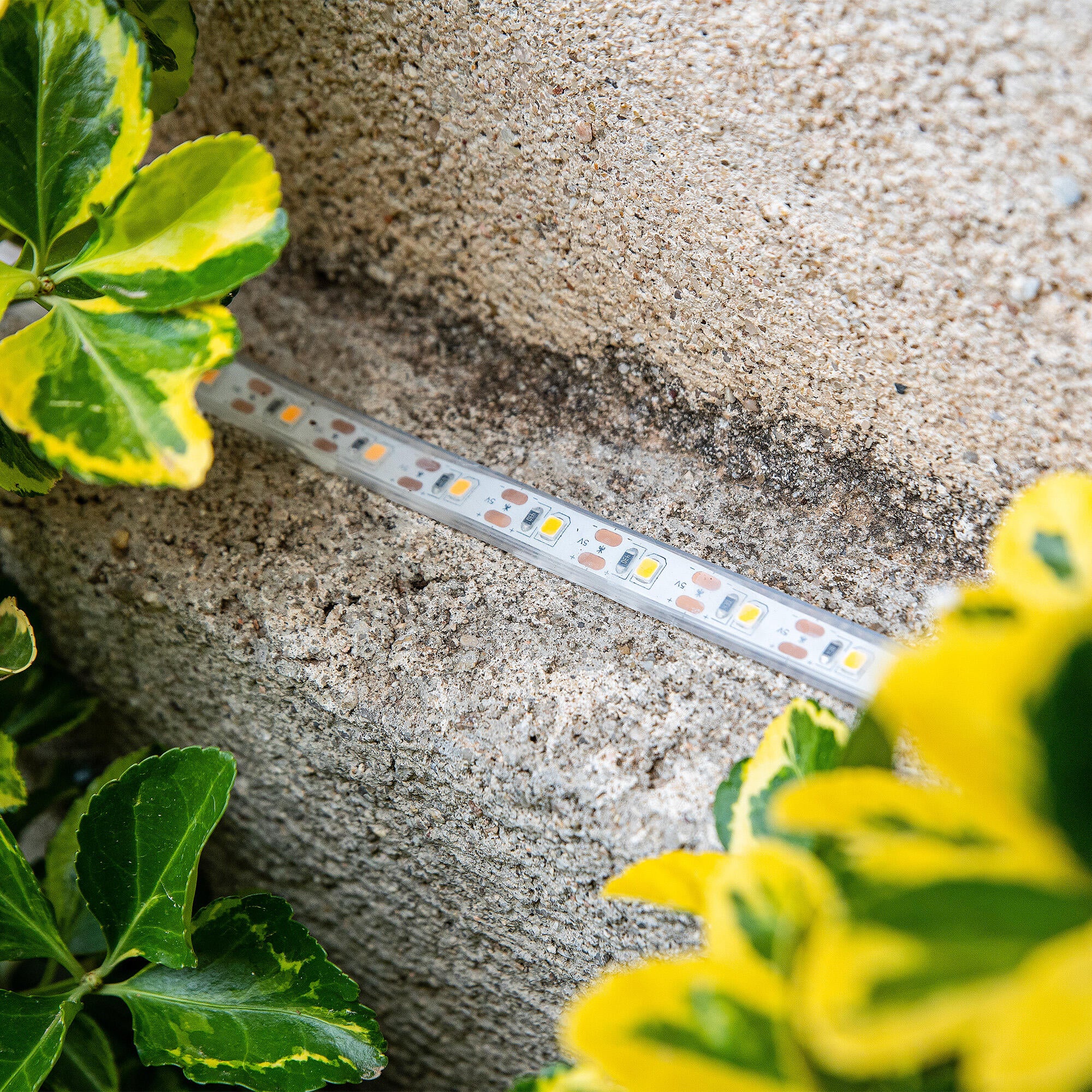 Luce a nastro solare led Dalia 3000K - 3