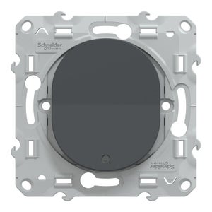 Interrupteur lumineux à assembler Ovalis, SCHNEIDER ELECTRIC, anthracite