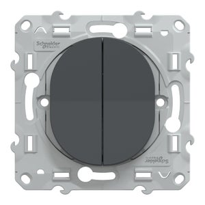 Double interrupteur à assembler Ovalis, SCHNEIDER ELECTRIC, anthracite