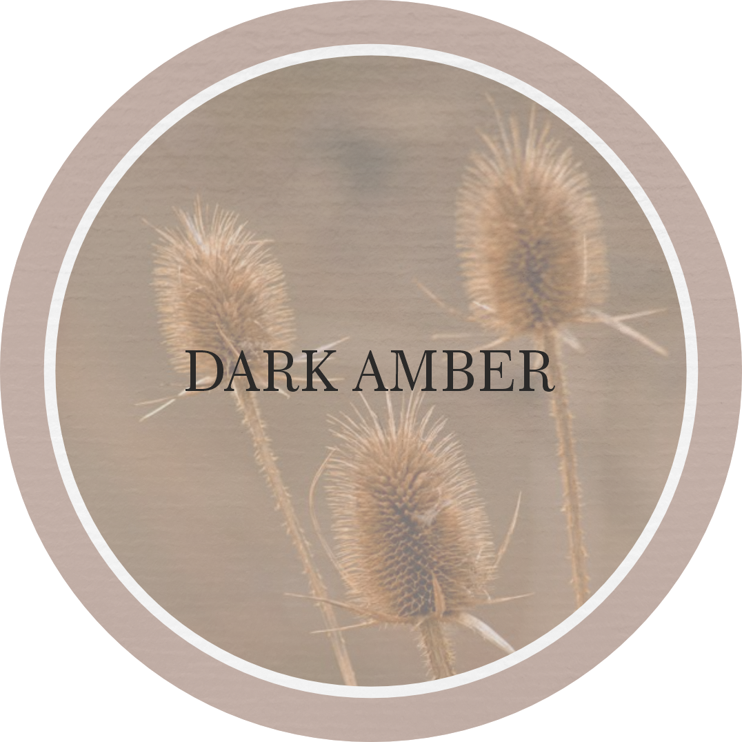 Ambientador spray 500ml DARK AMBER - 2