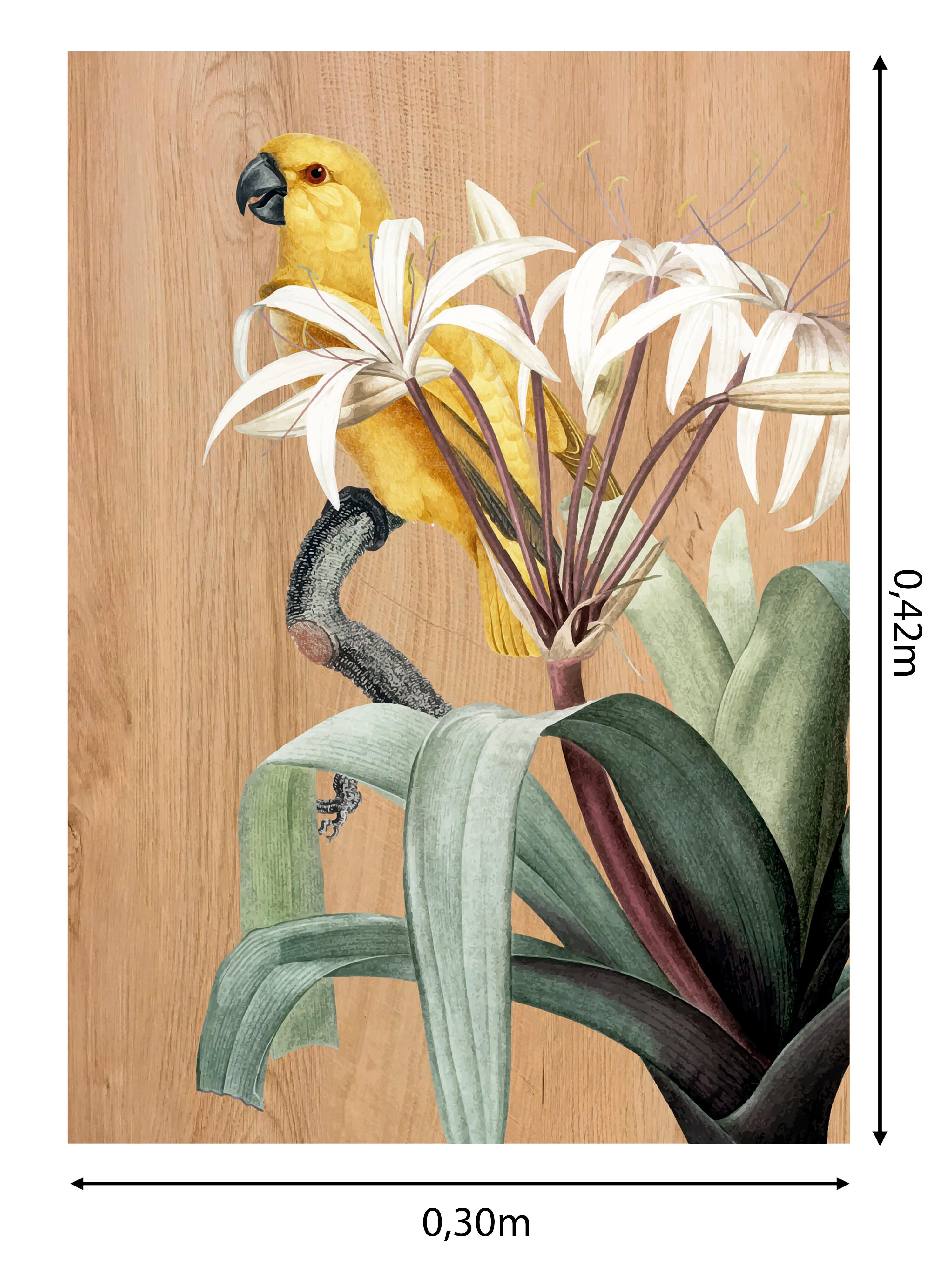 Objeto decorativo sin marco Animales rectangular de 30 x 42 cm. MDF Parrots 2 marrón - 3